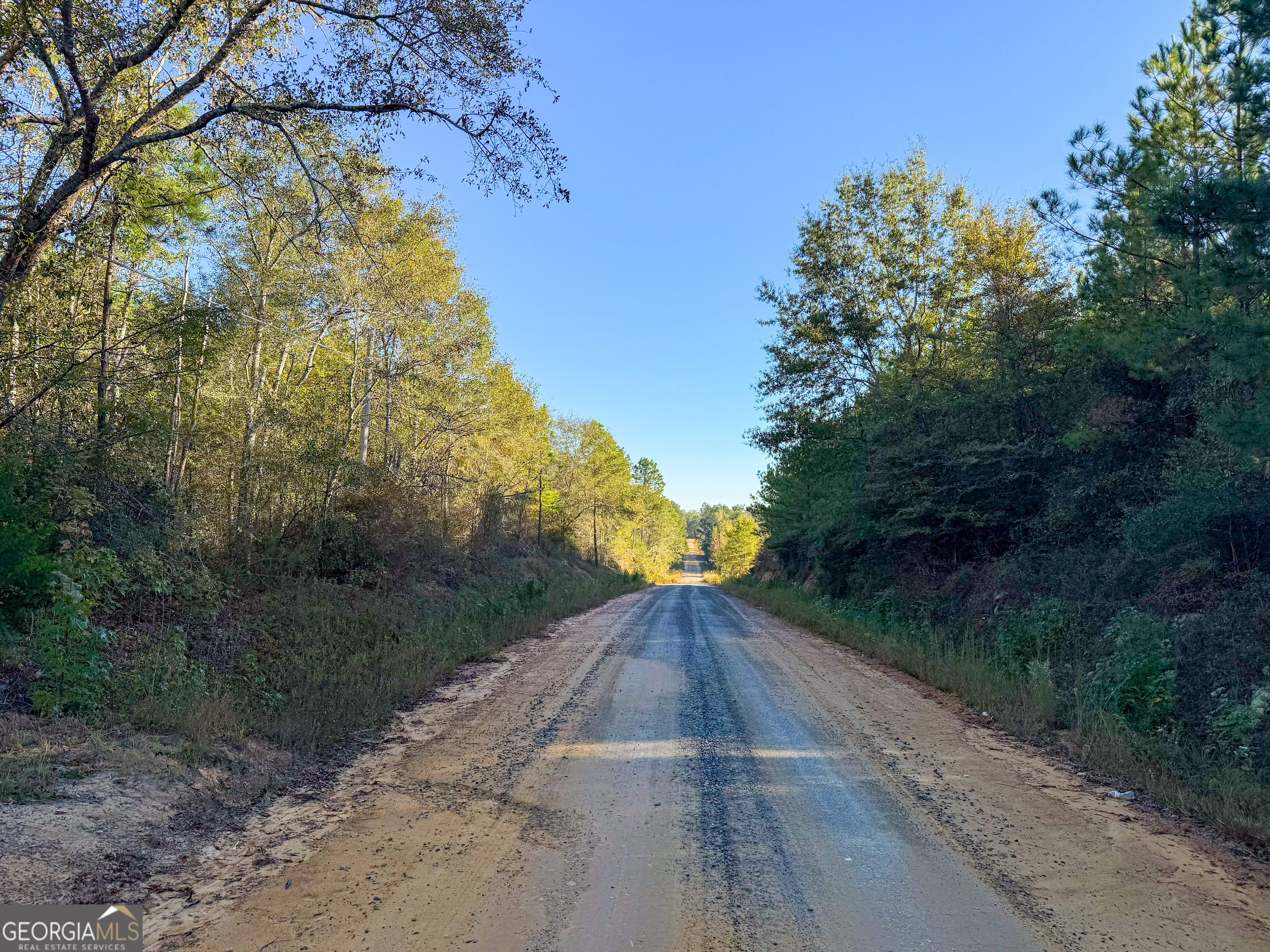 0 Raymond Wilkes Road Rockledge GA 30454