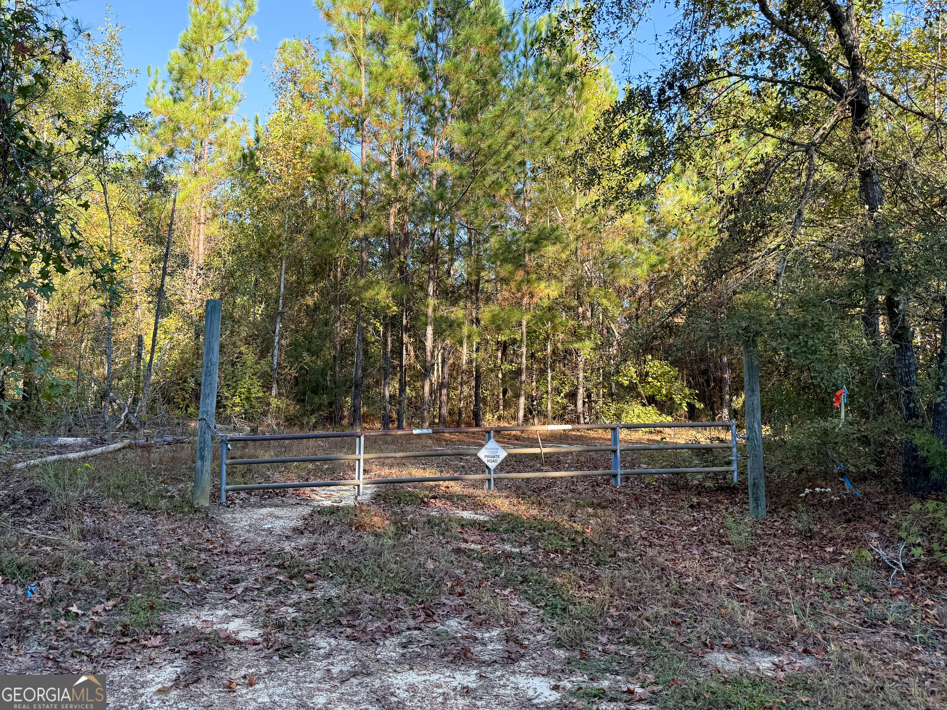 0 Raymond Wilkes Road Rockledge GA 30454