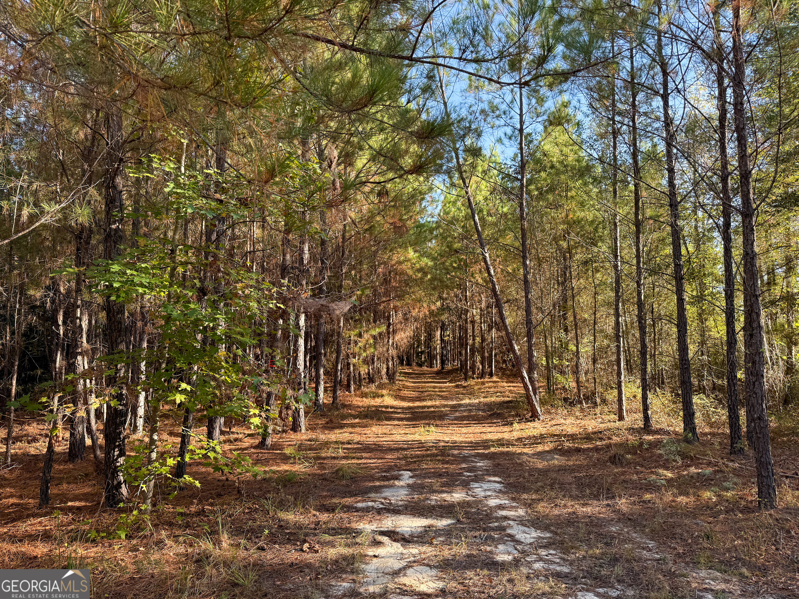 0 Raymond Wilkes Road Rockledge GA 30454