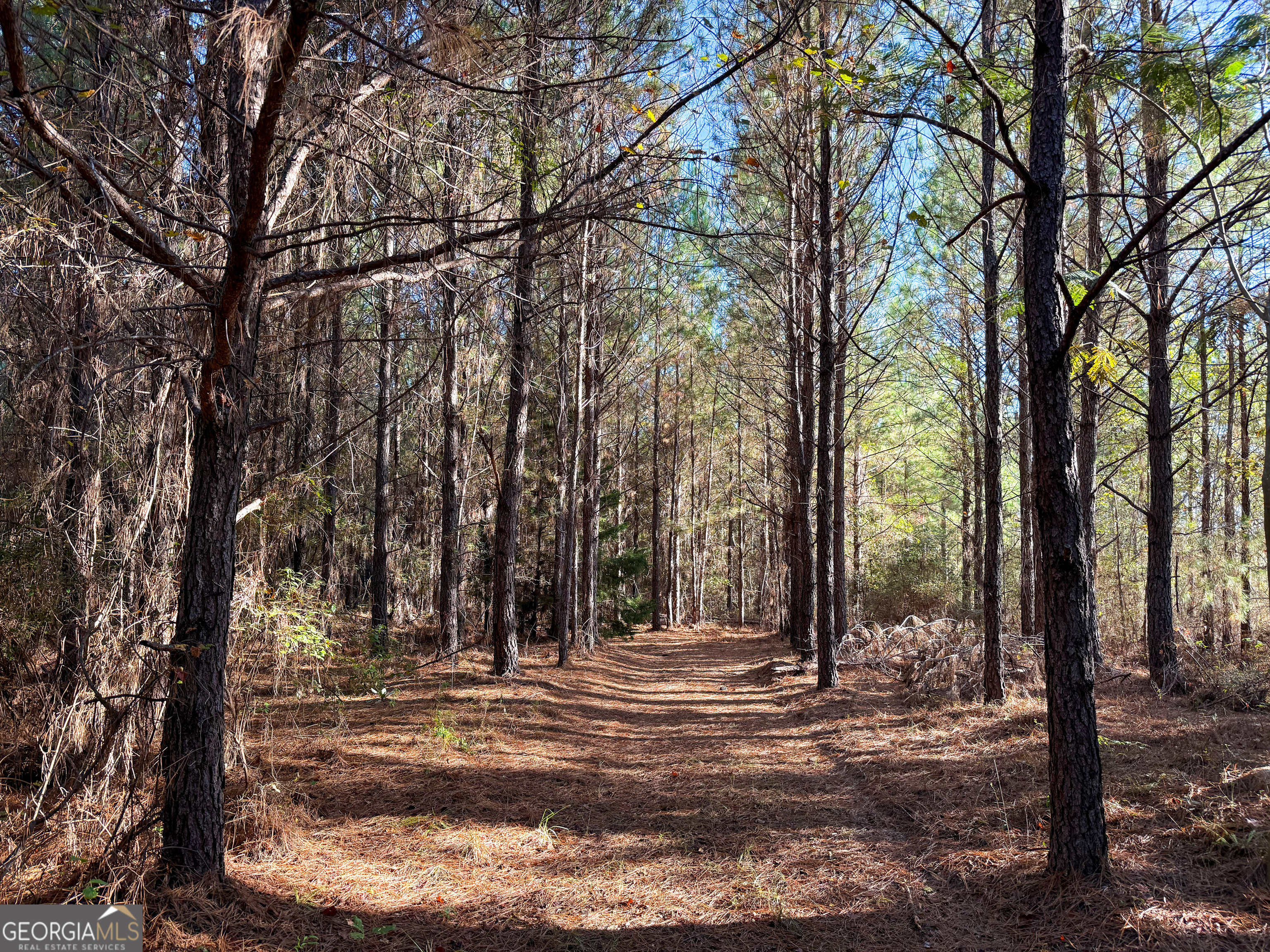 0 Raymond Wilkes Road Rockledge GA 30454