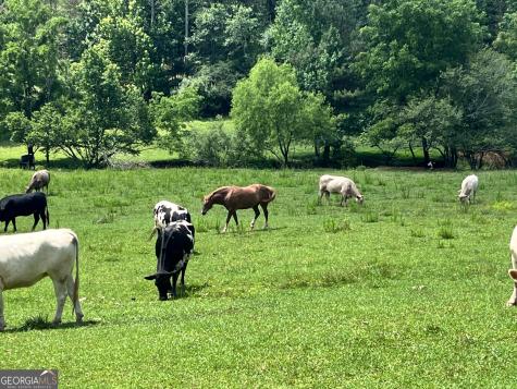 00 Freeman View Trail Cleveland GA 30528