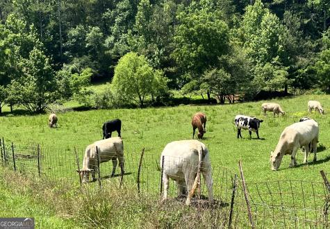 00 Freeman View Trail Cleveland GA 30528