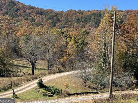 00 Freeman View Trail Cleveland GA 30528