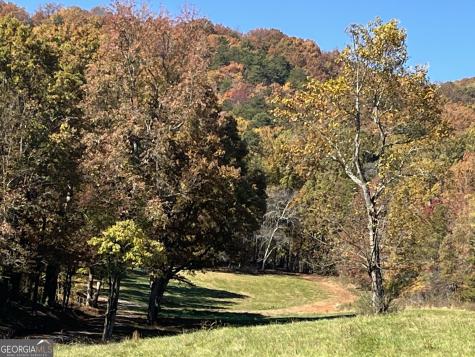 00 Freeman View Trail Cleveland GA 30528