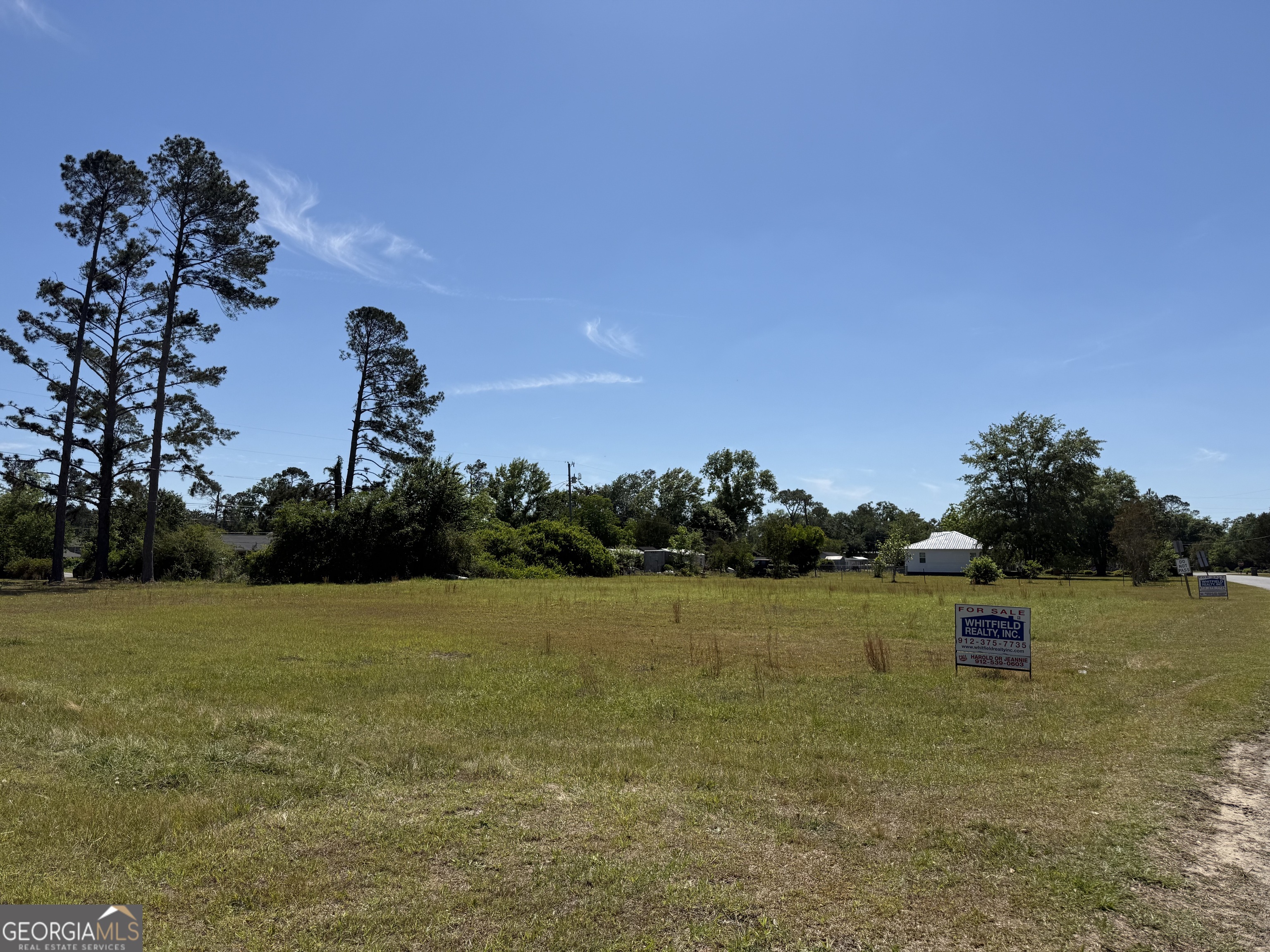 0 Elton Street Hazlehurst GA 31539