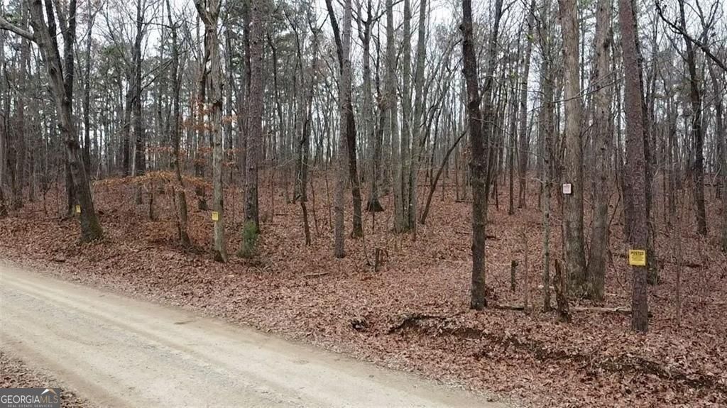 0 Treat Mountain Road Cedartown GA 30125