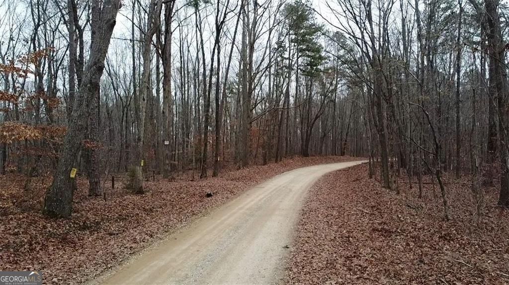 0 Treat Mountain Road Cedartown GA 30125