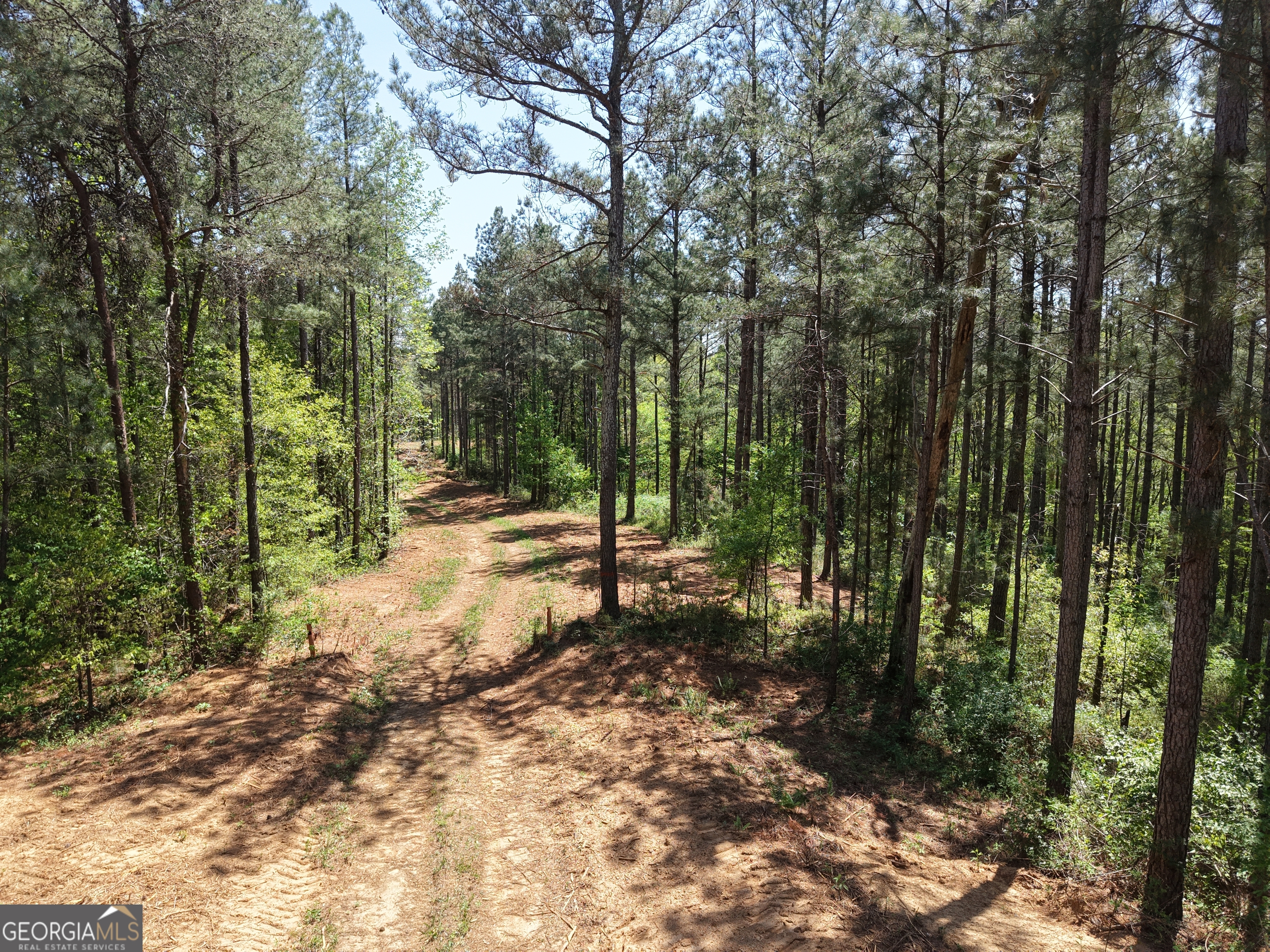 0 Ryo Mountain Road Fairmount GA 30139