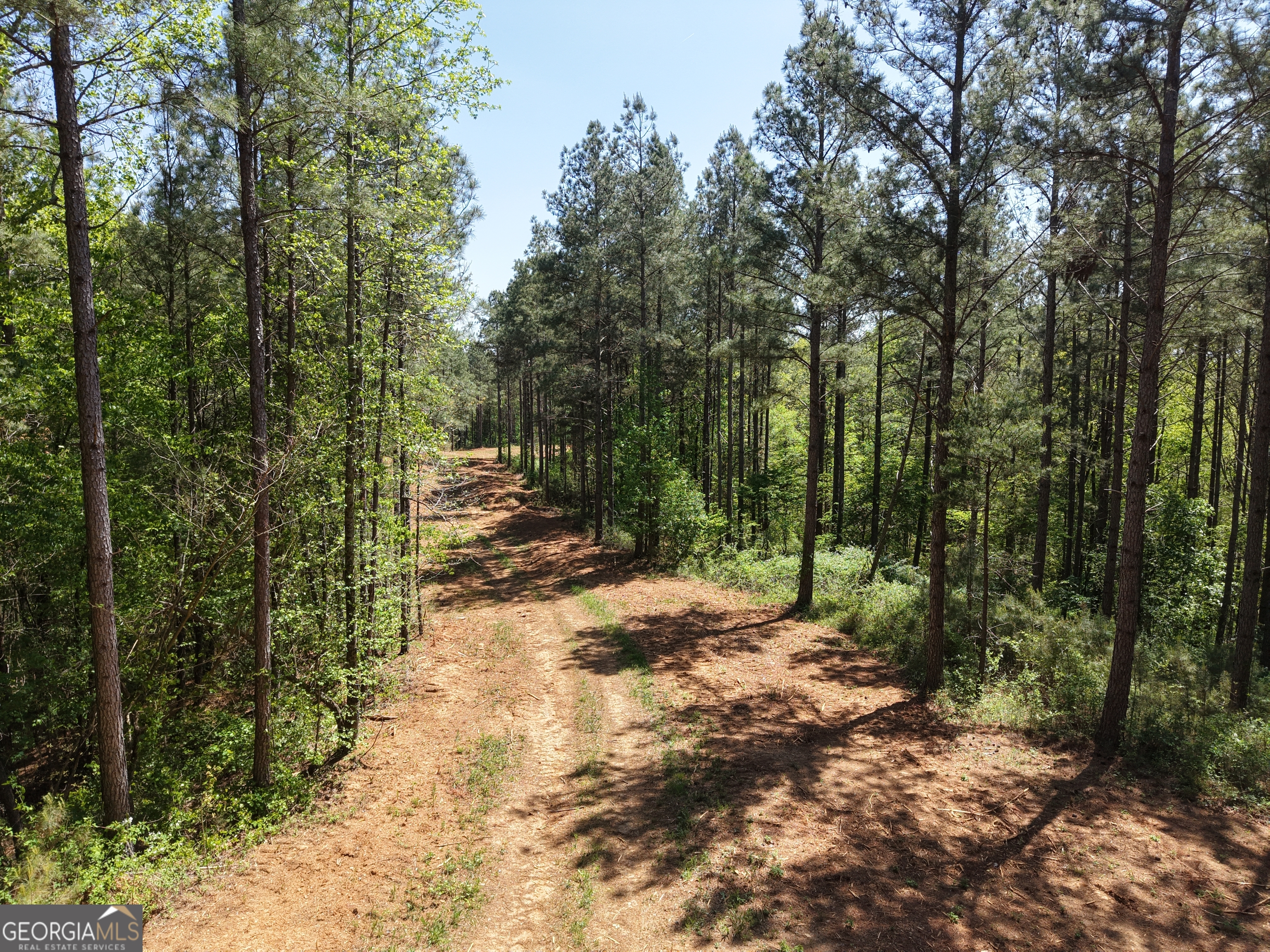 0 Ryo Mountain Road Fairmount GA 30139