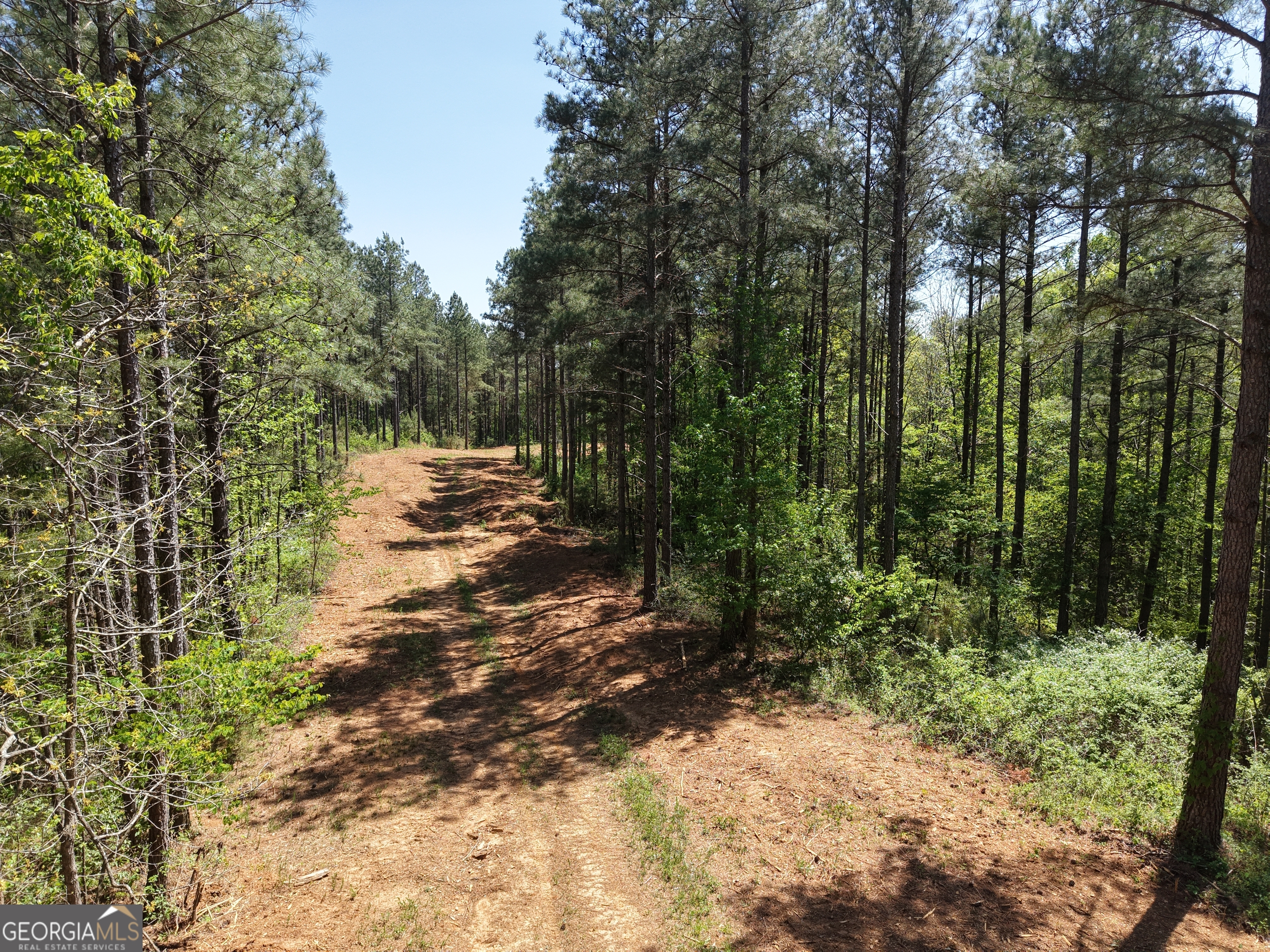 0 Ryo Mountain Road Fairmount GA 30139