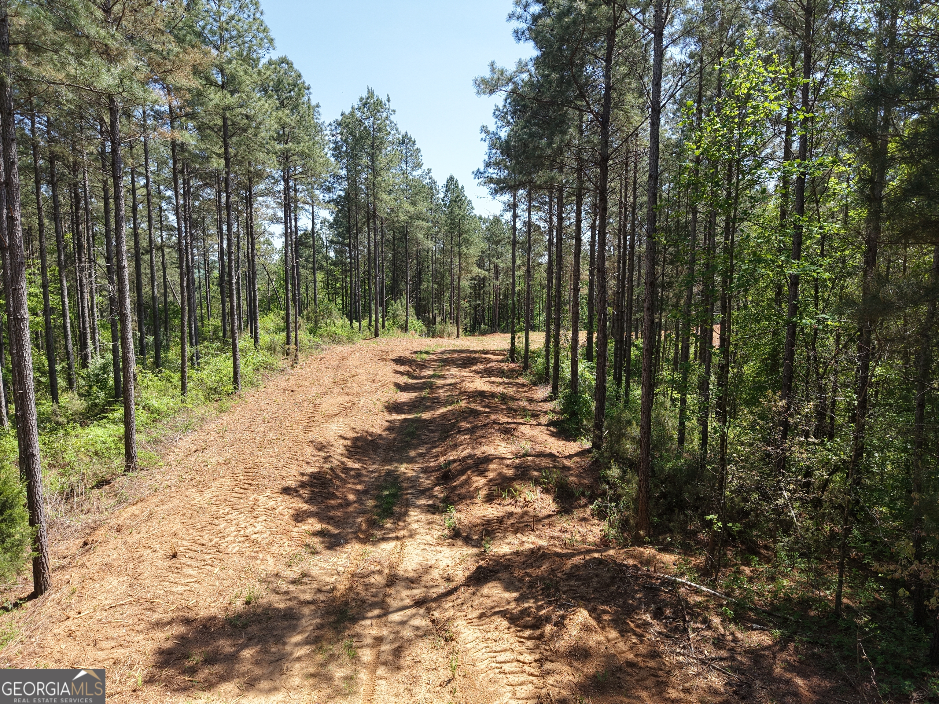 0 Ryo Mountain Road Fairmount GA 30139