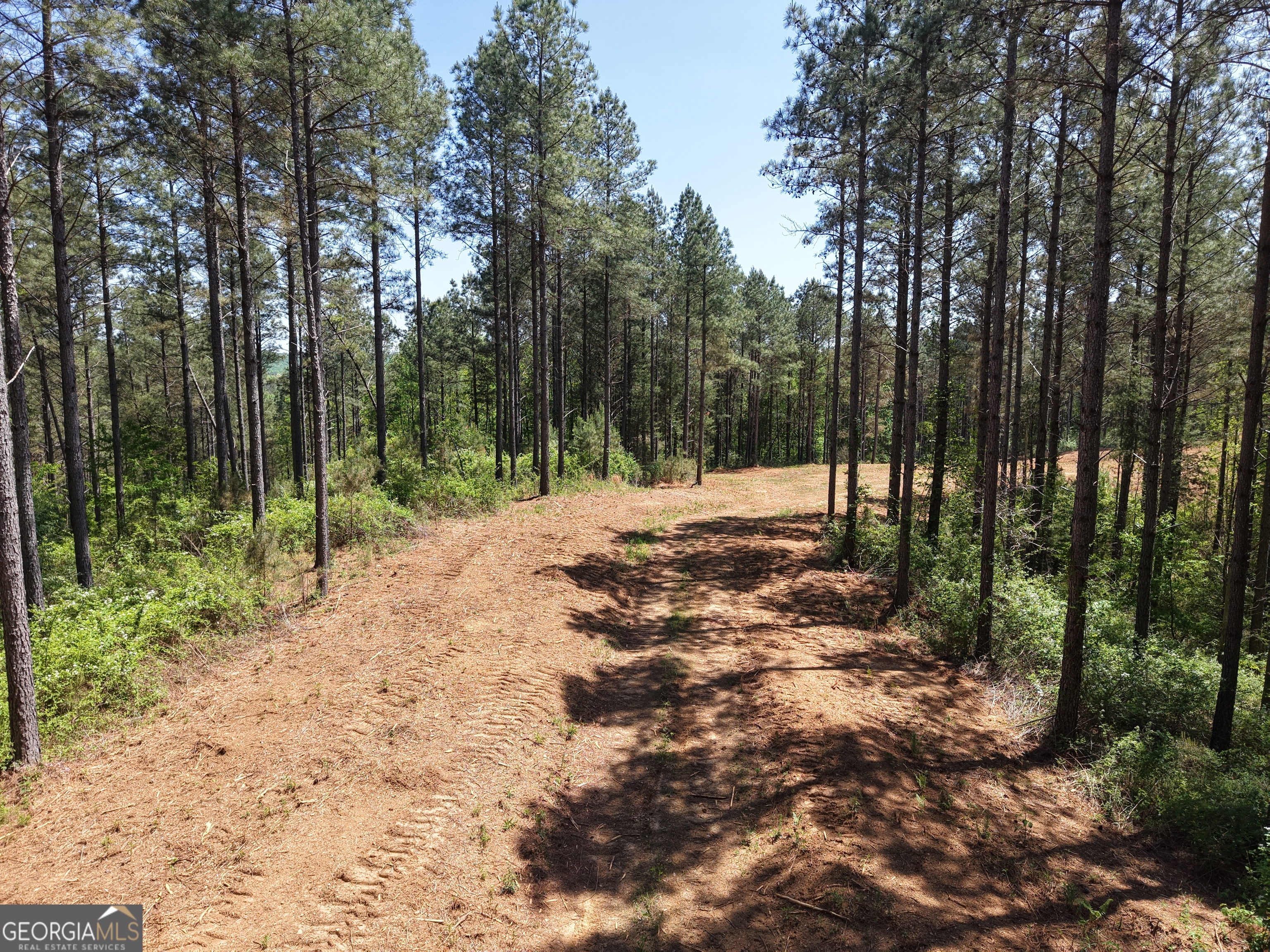 0 Ryo Mountain Road Fairmount GA 30139