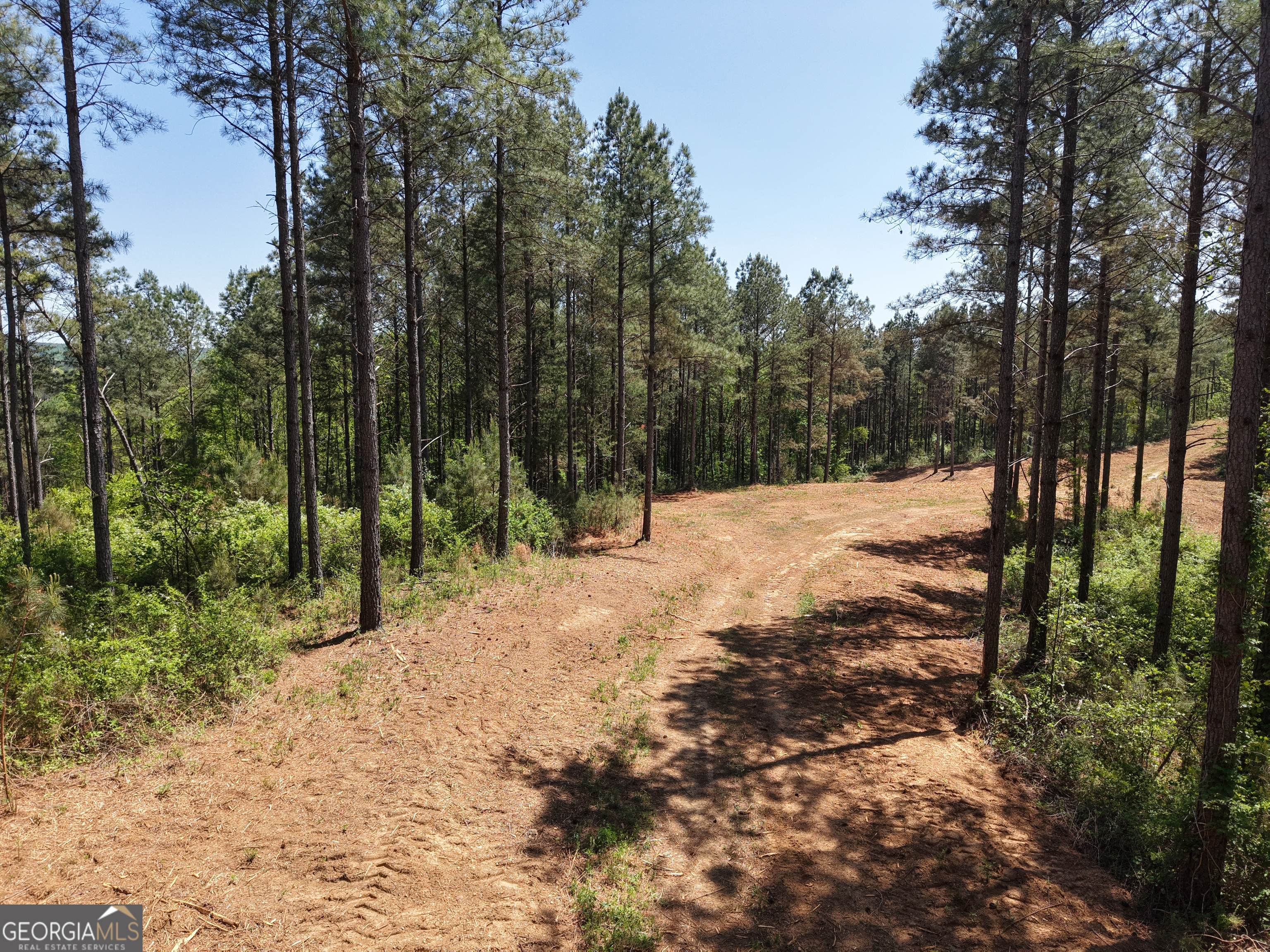 0 Ryo Mountain Road Fairmount GA 30139