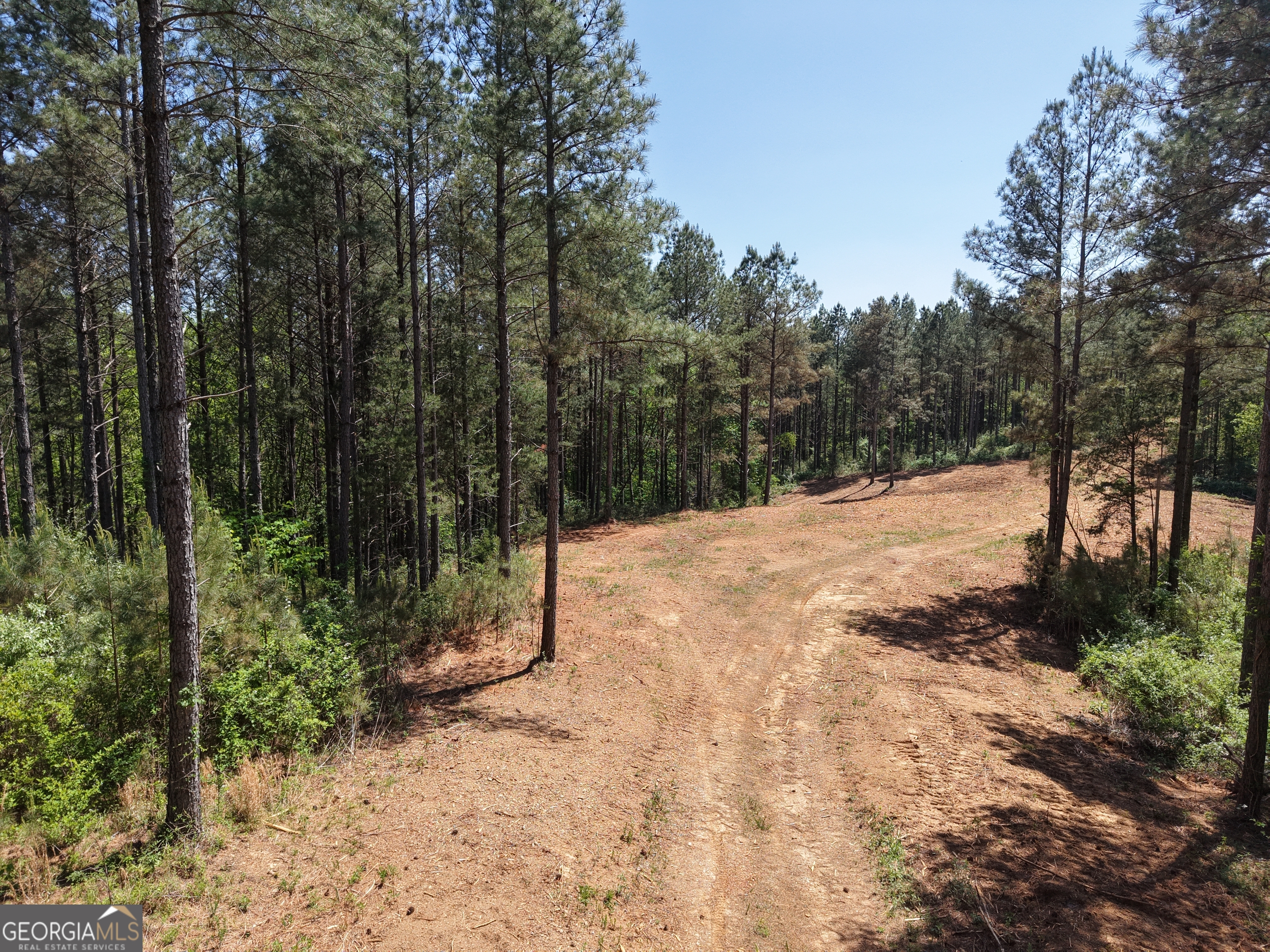 0 Ryo Mountain Road Fairmount GA 30139
