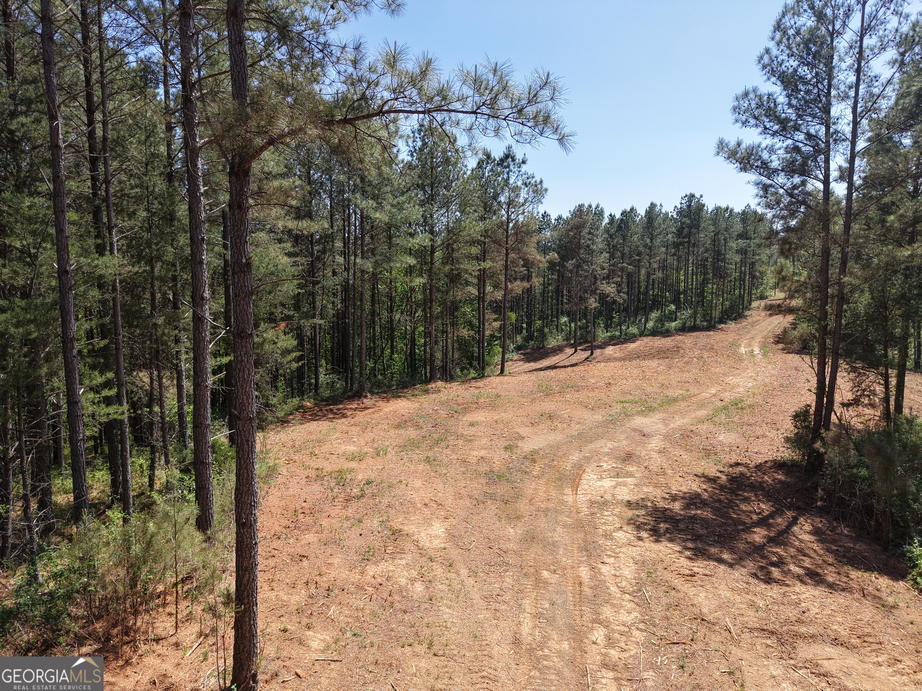 0 Ryo Mountain Road Fairmount GA 30139