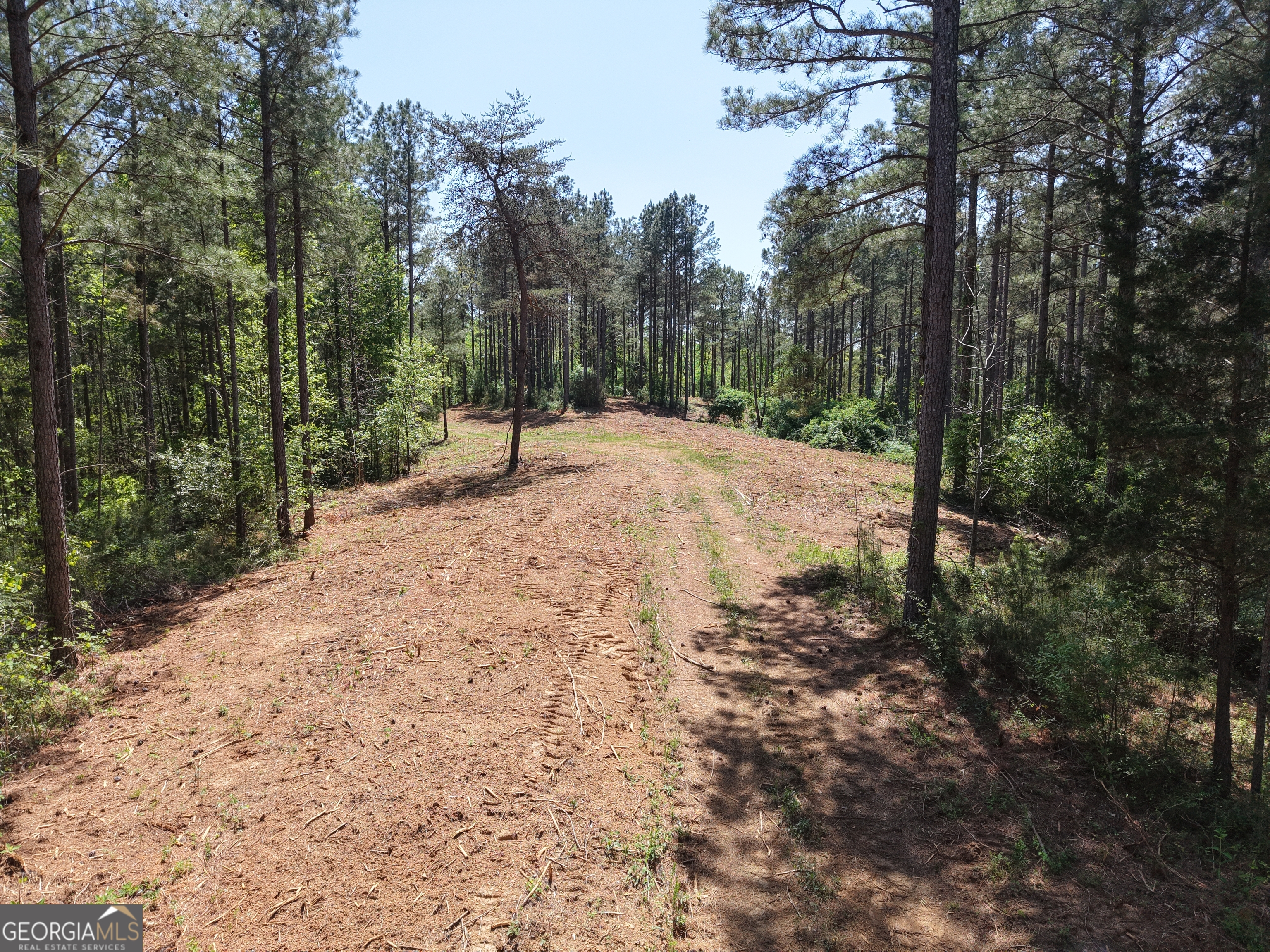 0 Ryo Mountain Road Fairmount GA 30139