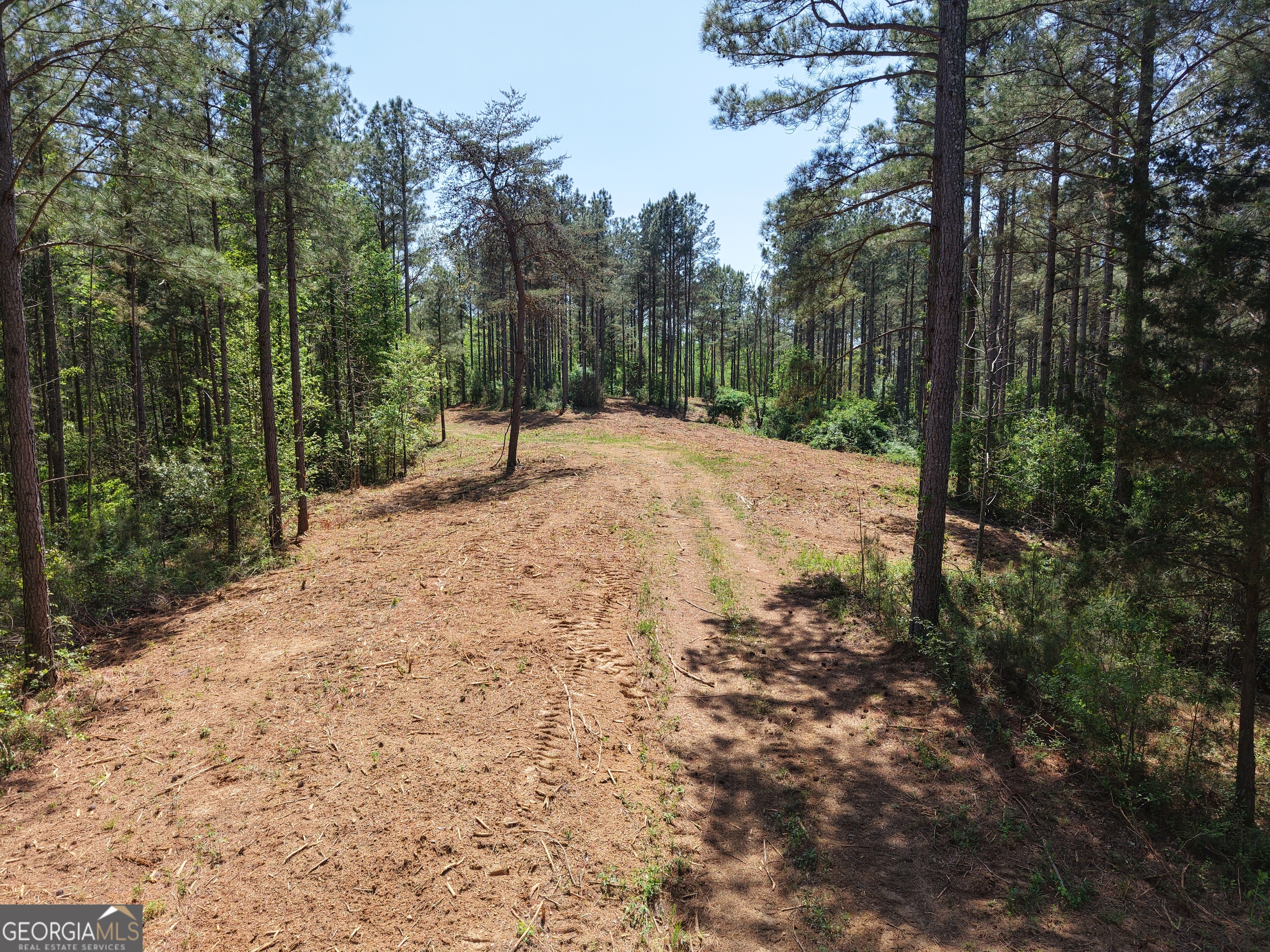 0 Ryo Mountain Road Fairmount GA 30139
