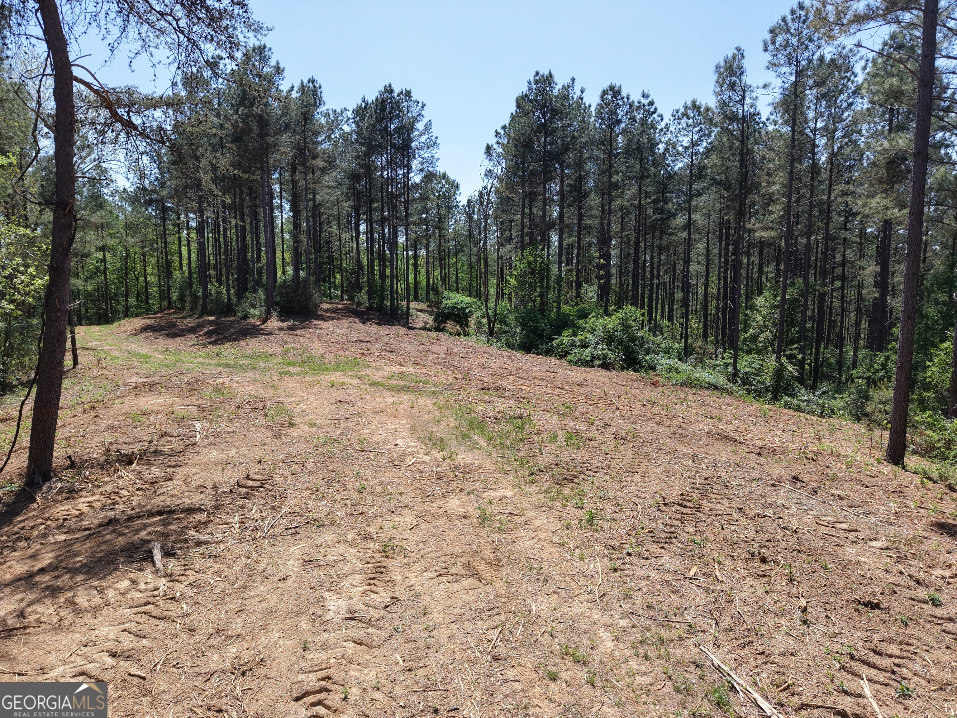 0 Ryo Mountain Road Fairmount GA 30139