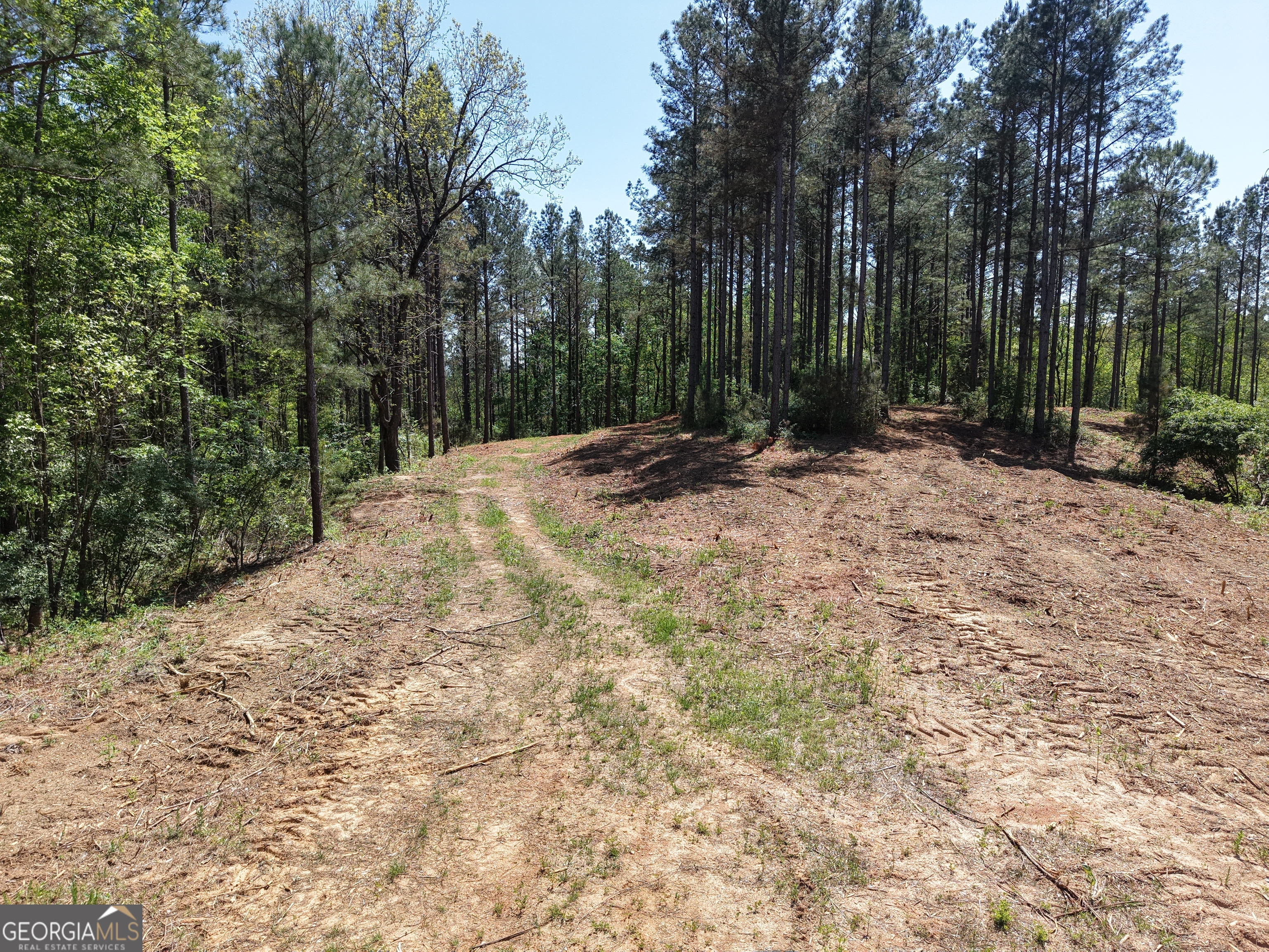 0 Ryo Mountain Road Fairmount GA 30139