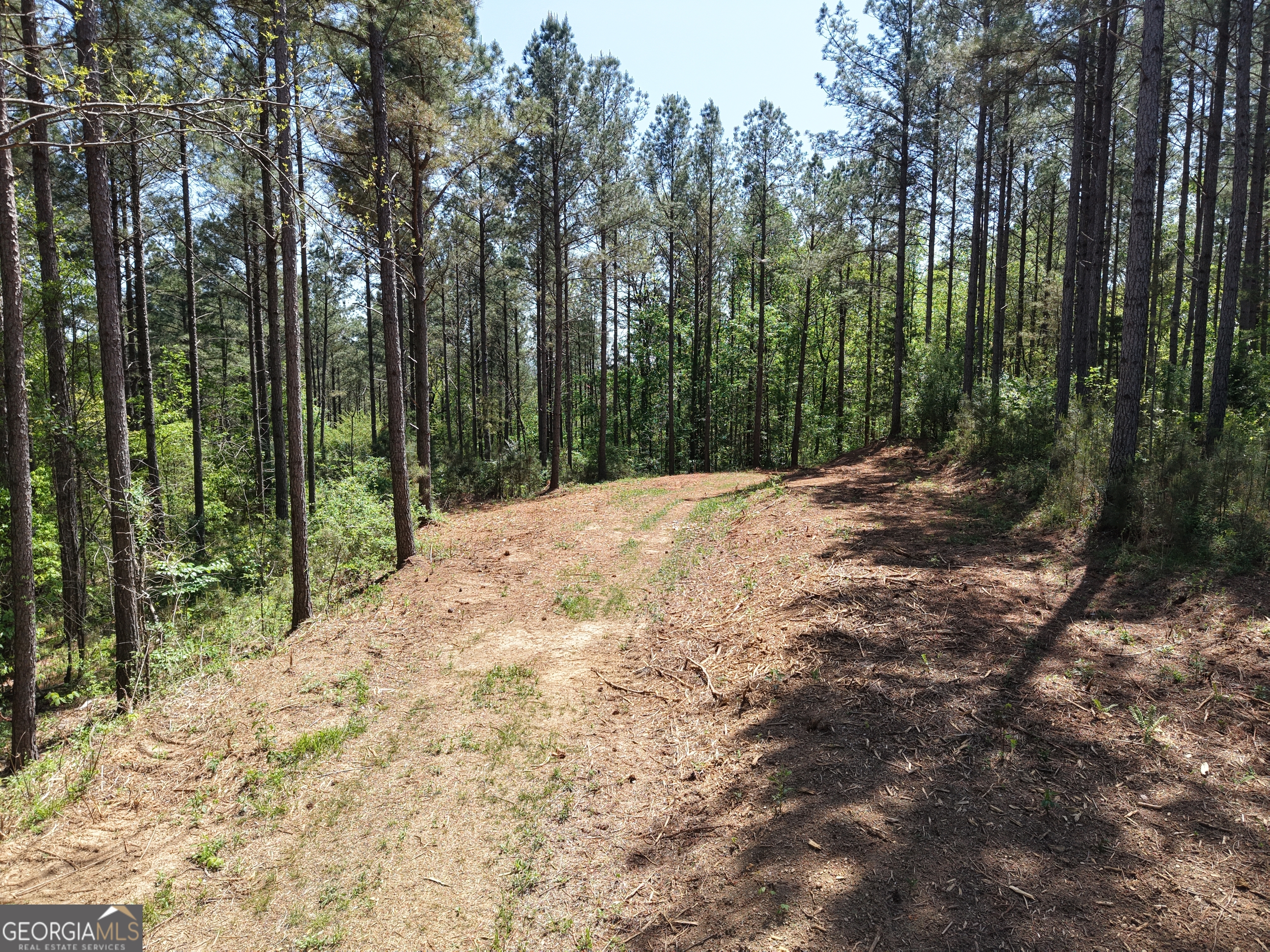 0 Ryo Mountain Road Fairmount GA 30139