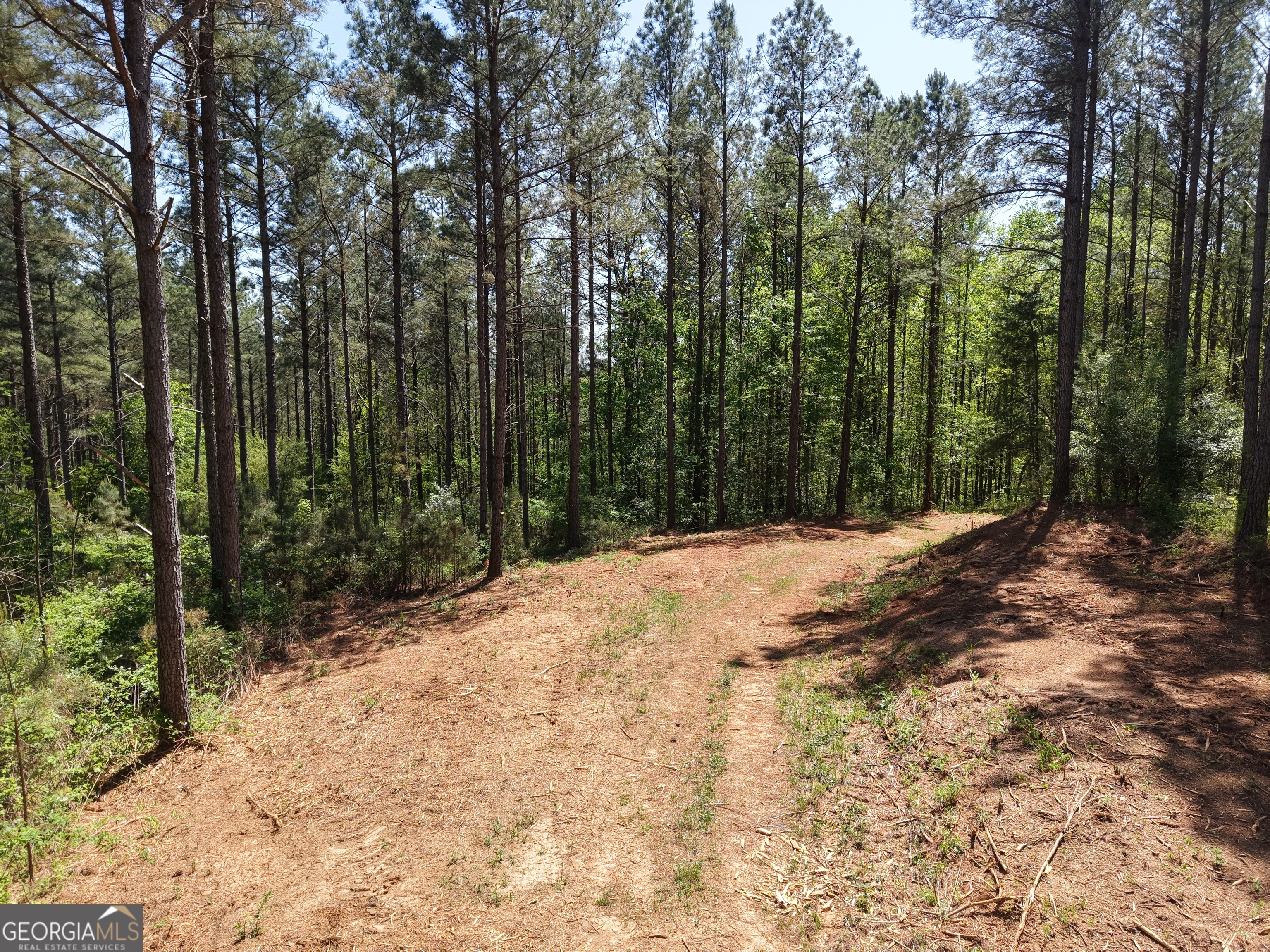 0 Ryo Mountain Road Fairmount GA 30139