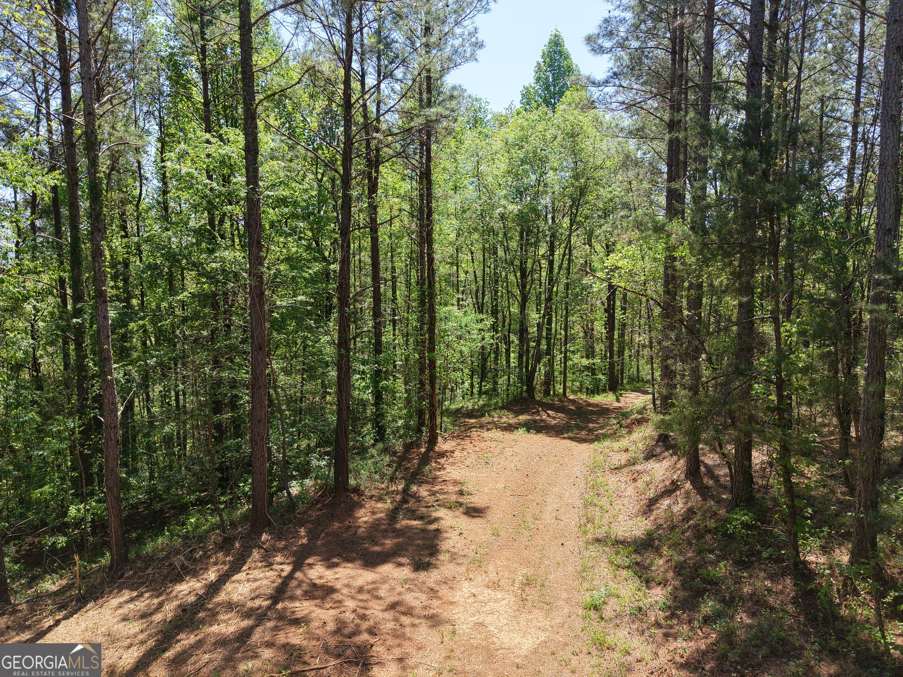 0 Ryo Mountain Road Fairmount GA 30139
