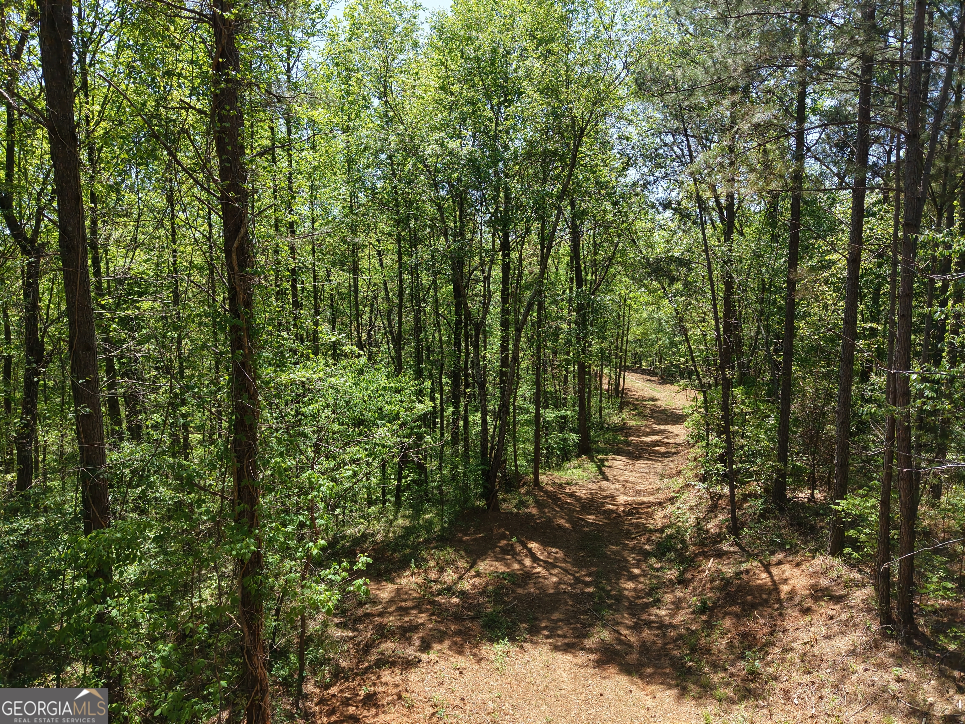 0 Ryo Mountain Road Fairmount GA 30139