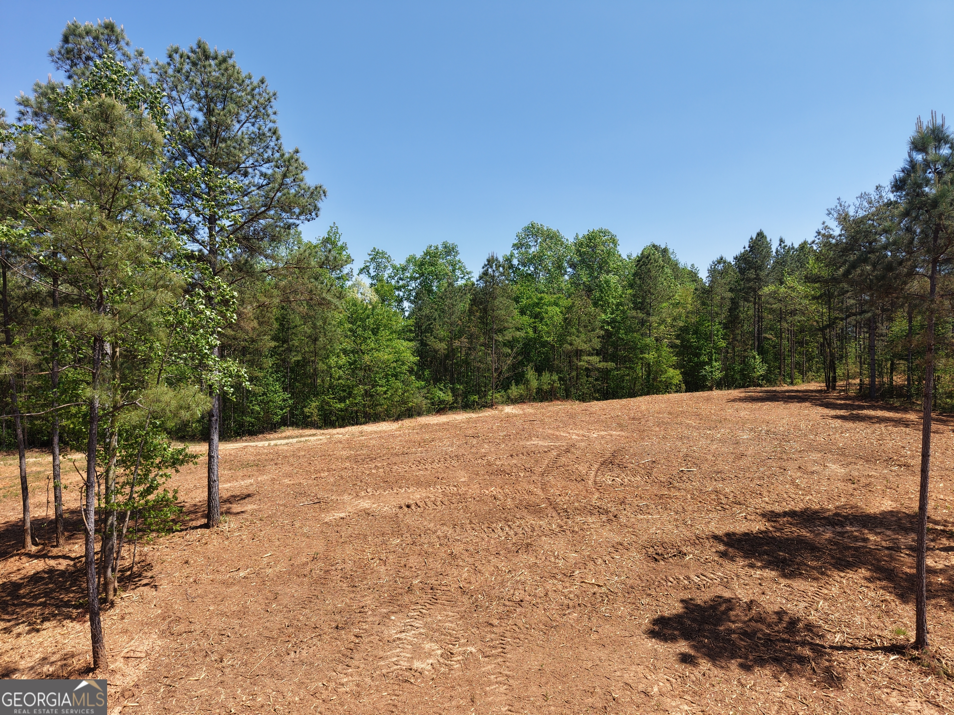 0 Ryo Mountain Road Fairmount GA 30139