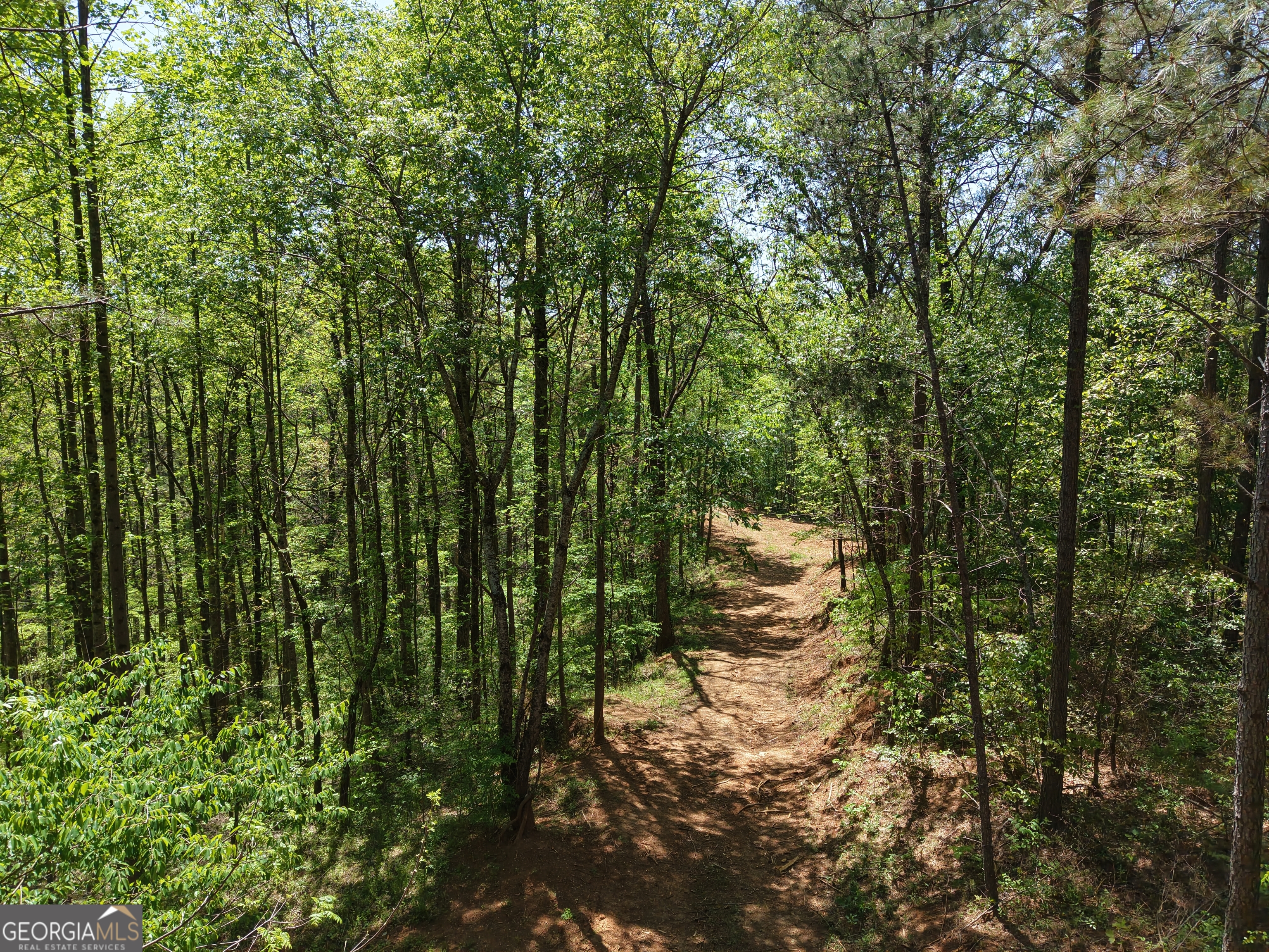 0 Ryo Mountain Road Fairmount GA 30139