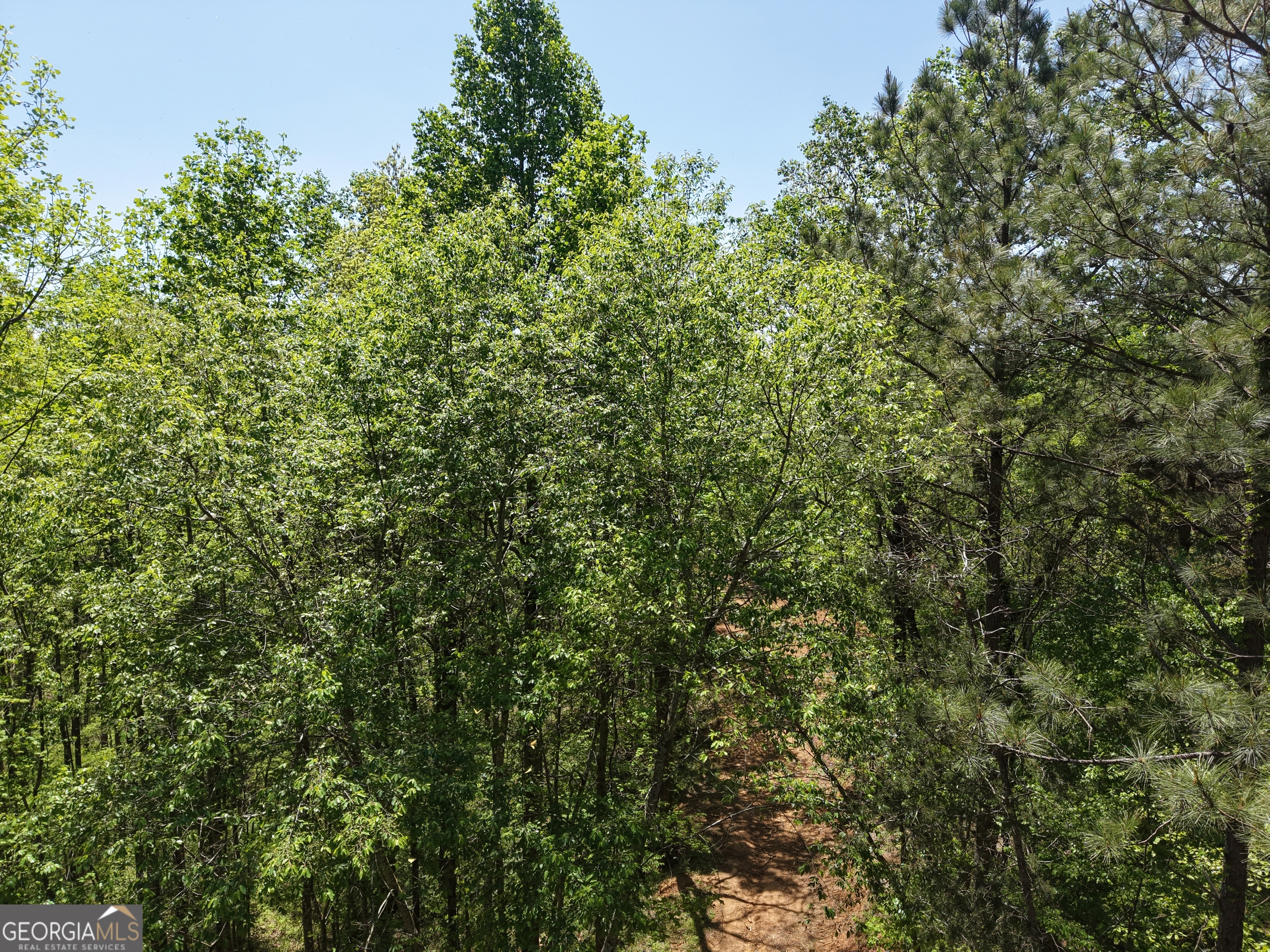 0 Ryo Mountain Road Fairmount GA 30139