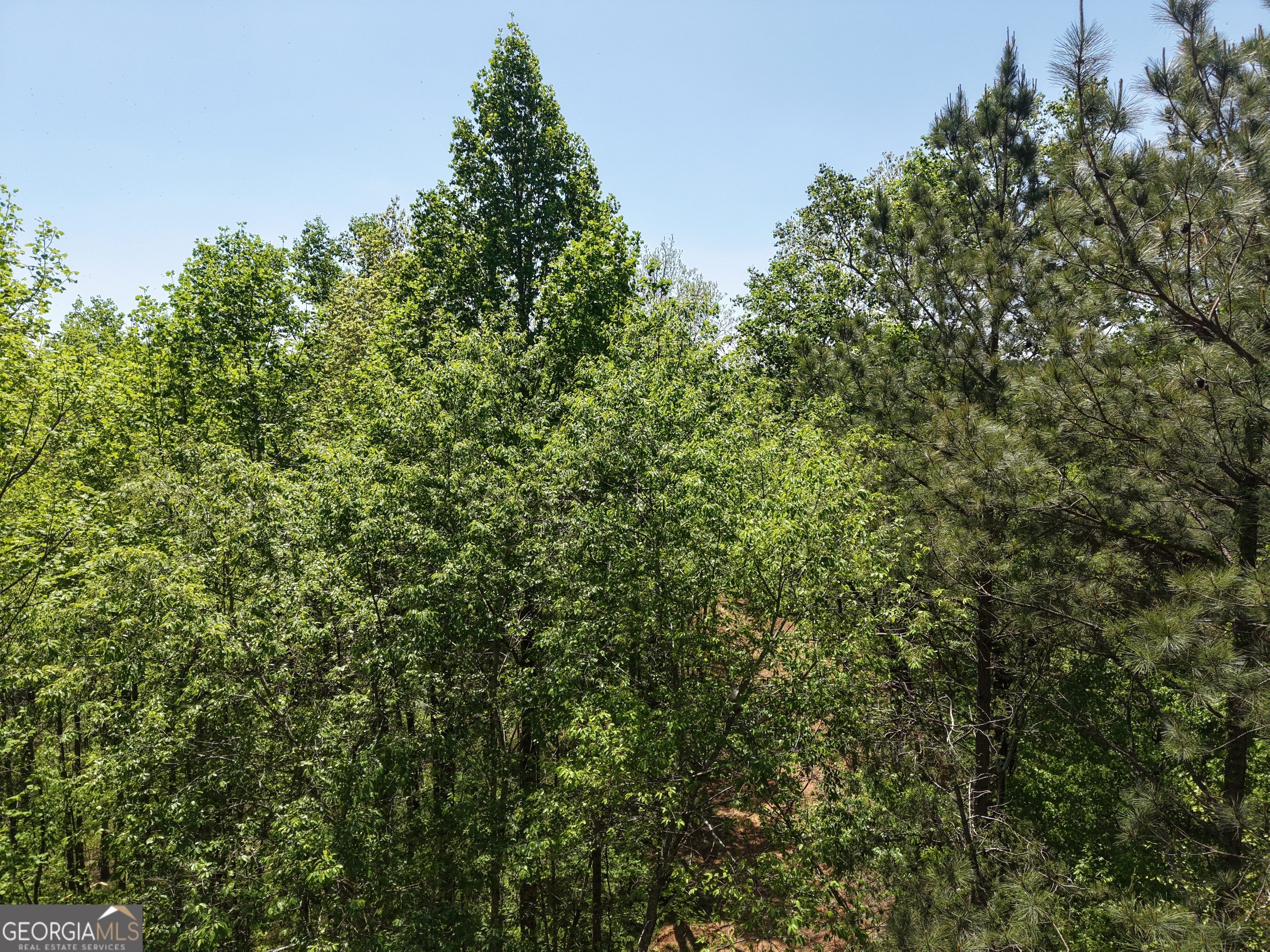 0 Ryo Mountain Road Fairmount GA 30139