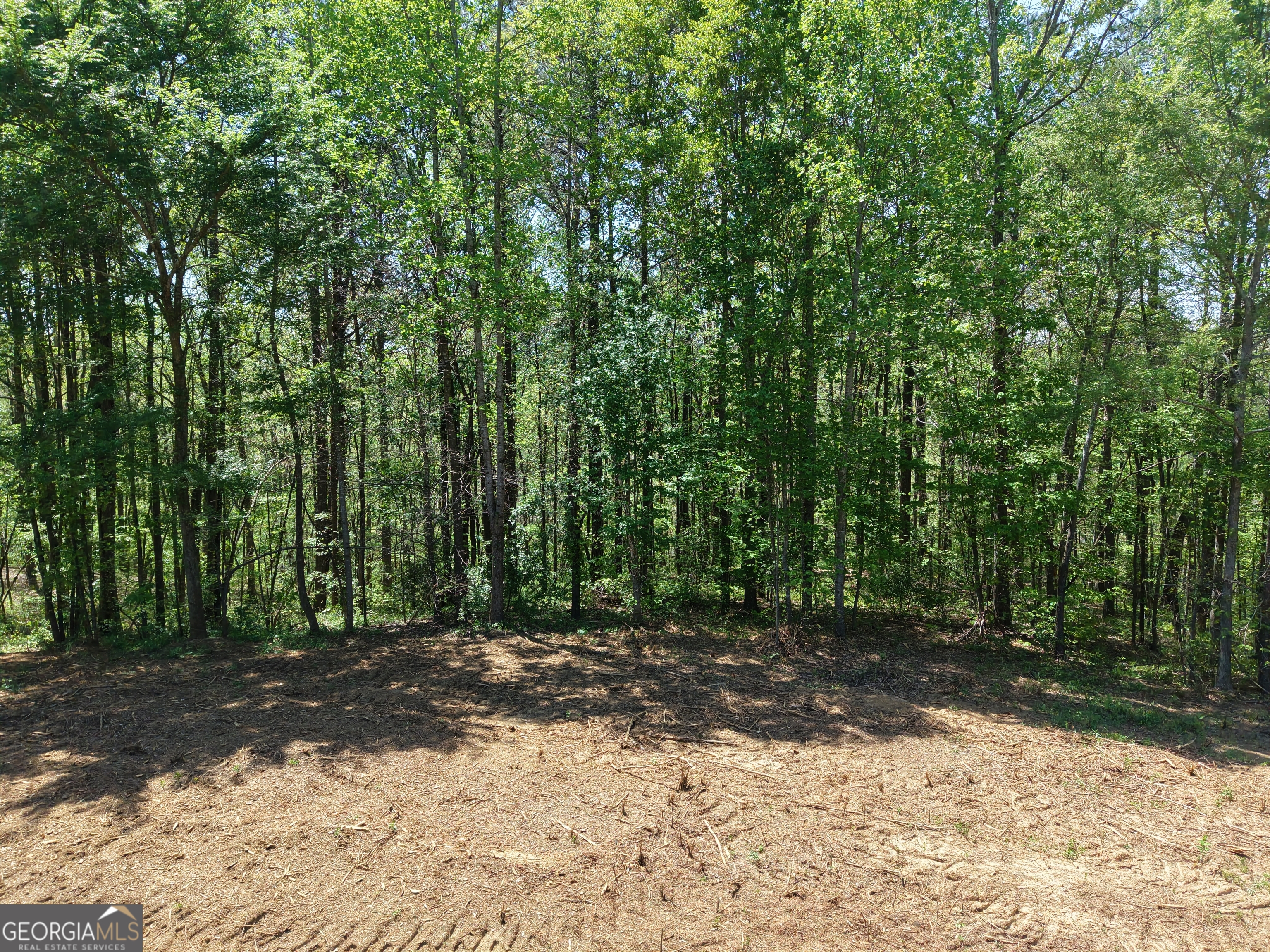 0 Ryo Mountain Road Fairmount GA 30139