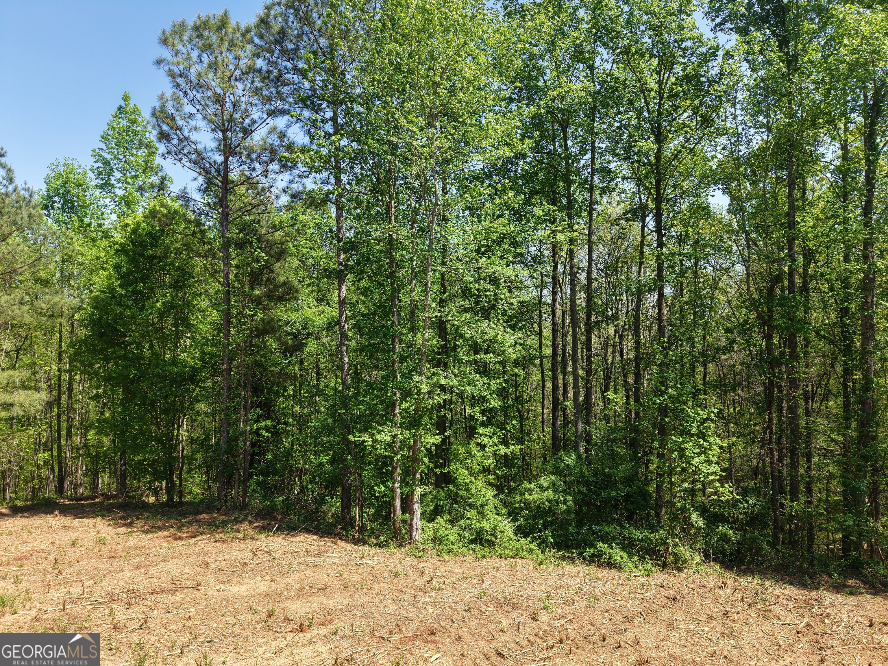 0 Ryo Mountain Road Fairmount GA 30139