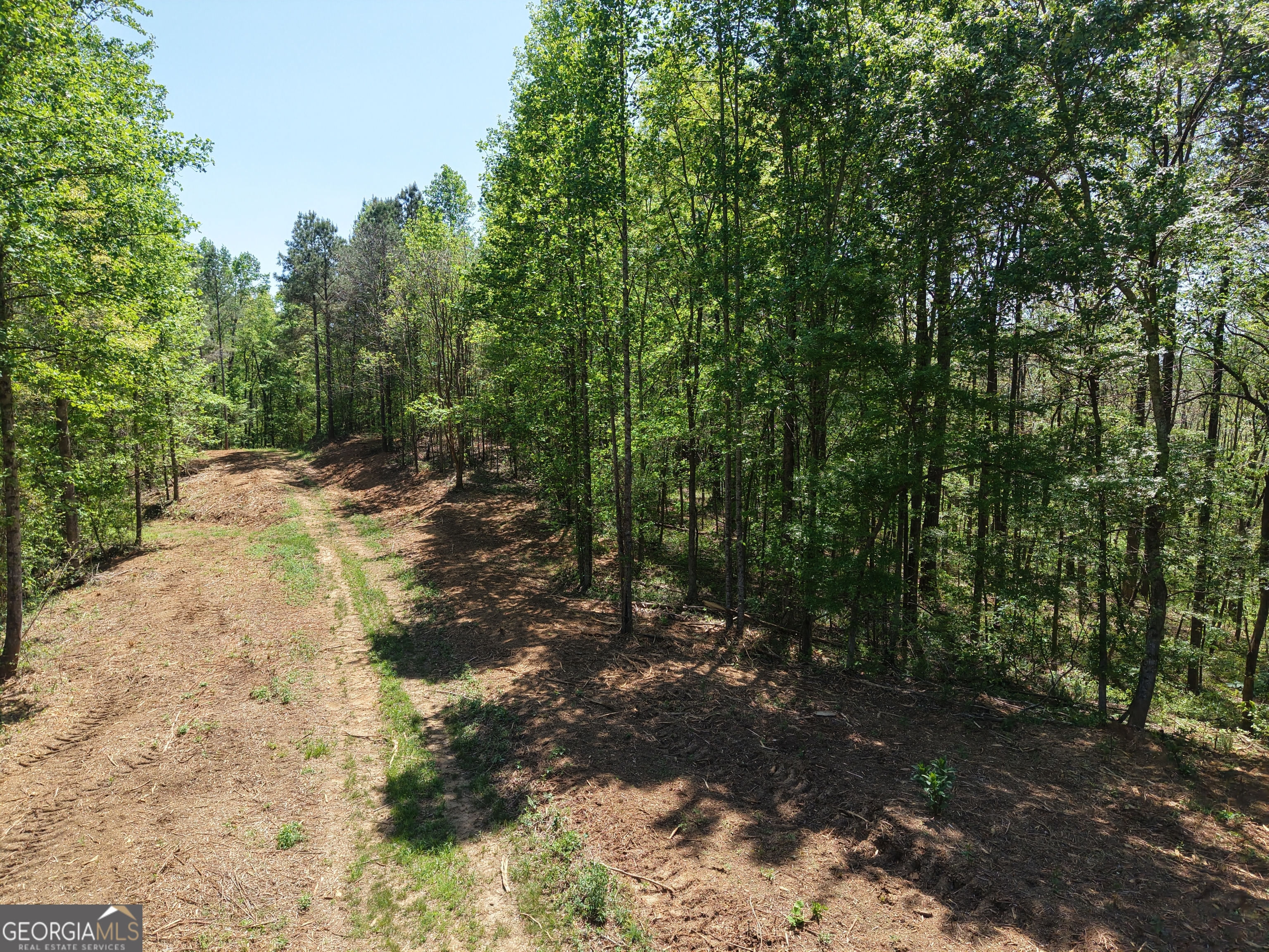0 Ryo Mountain Road Fairmount GA 30139