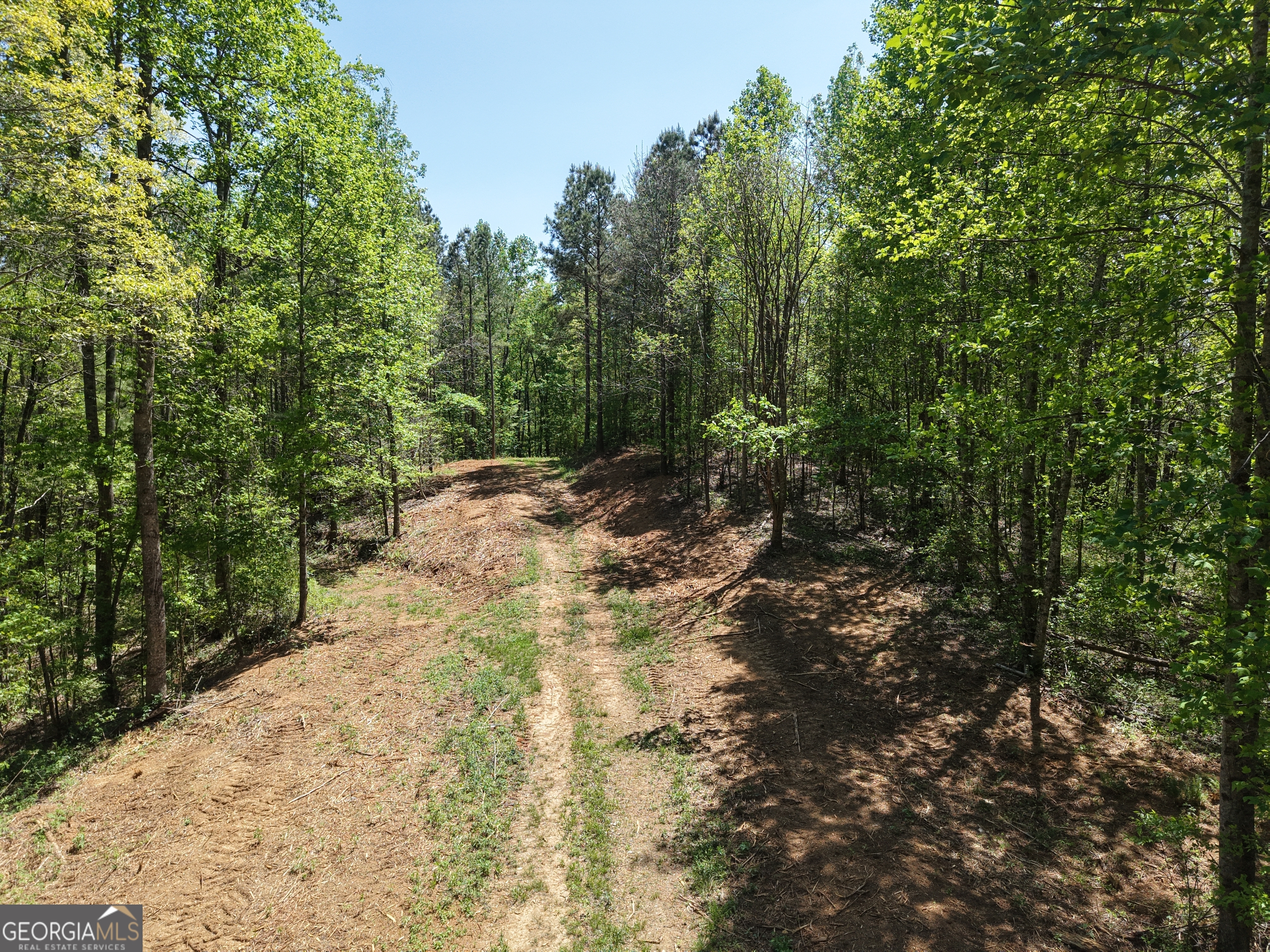 0 Ryo Mountain Road Fairmount GA 30139