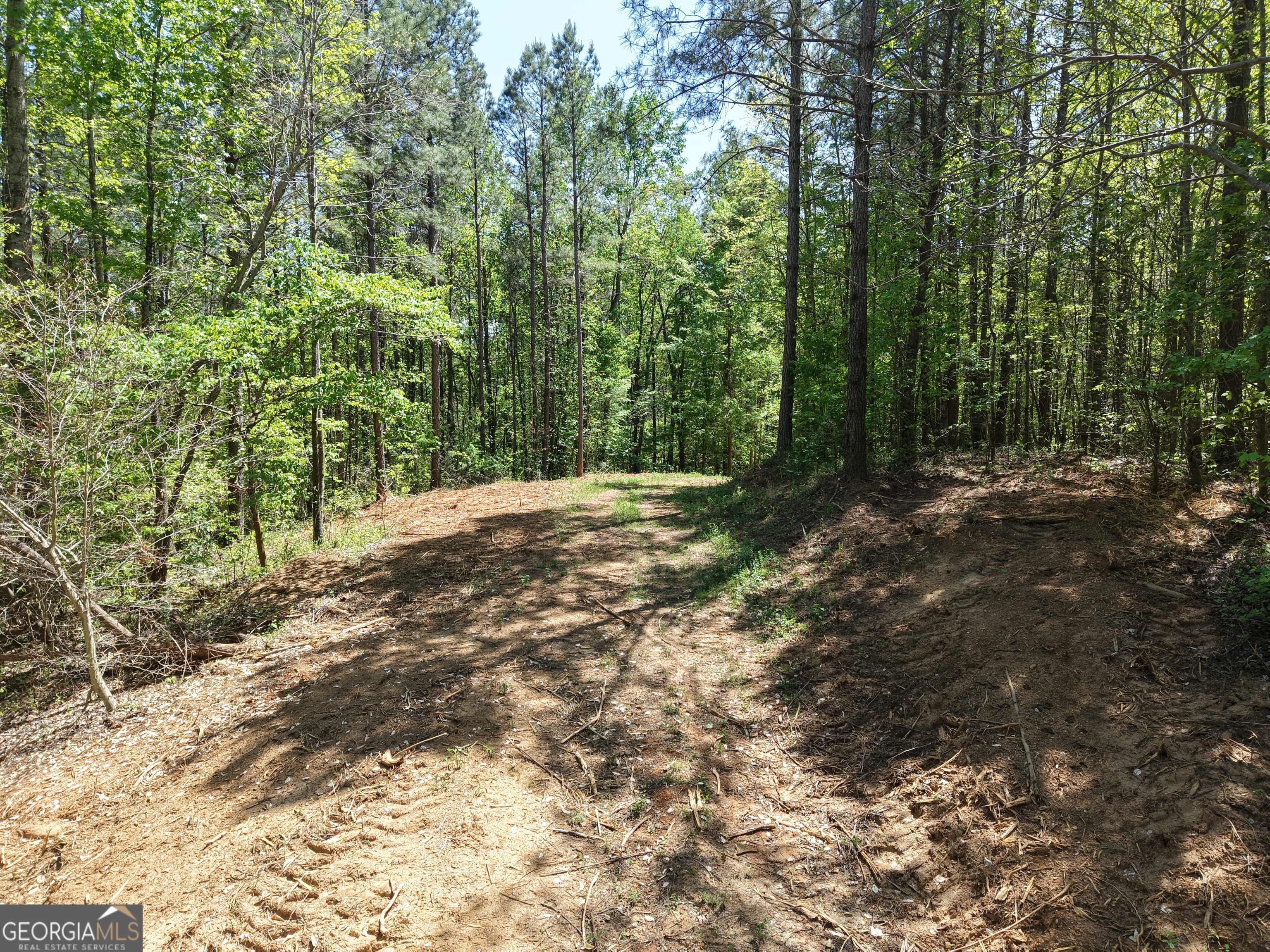 0 Ryo Mountain Road Fairmount GA 30139