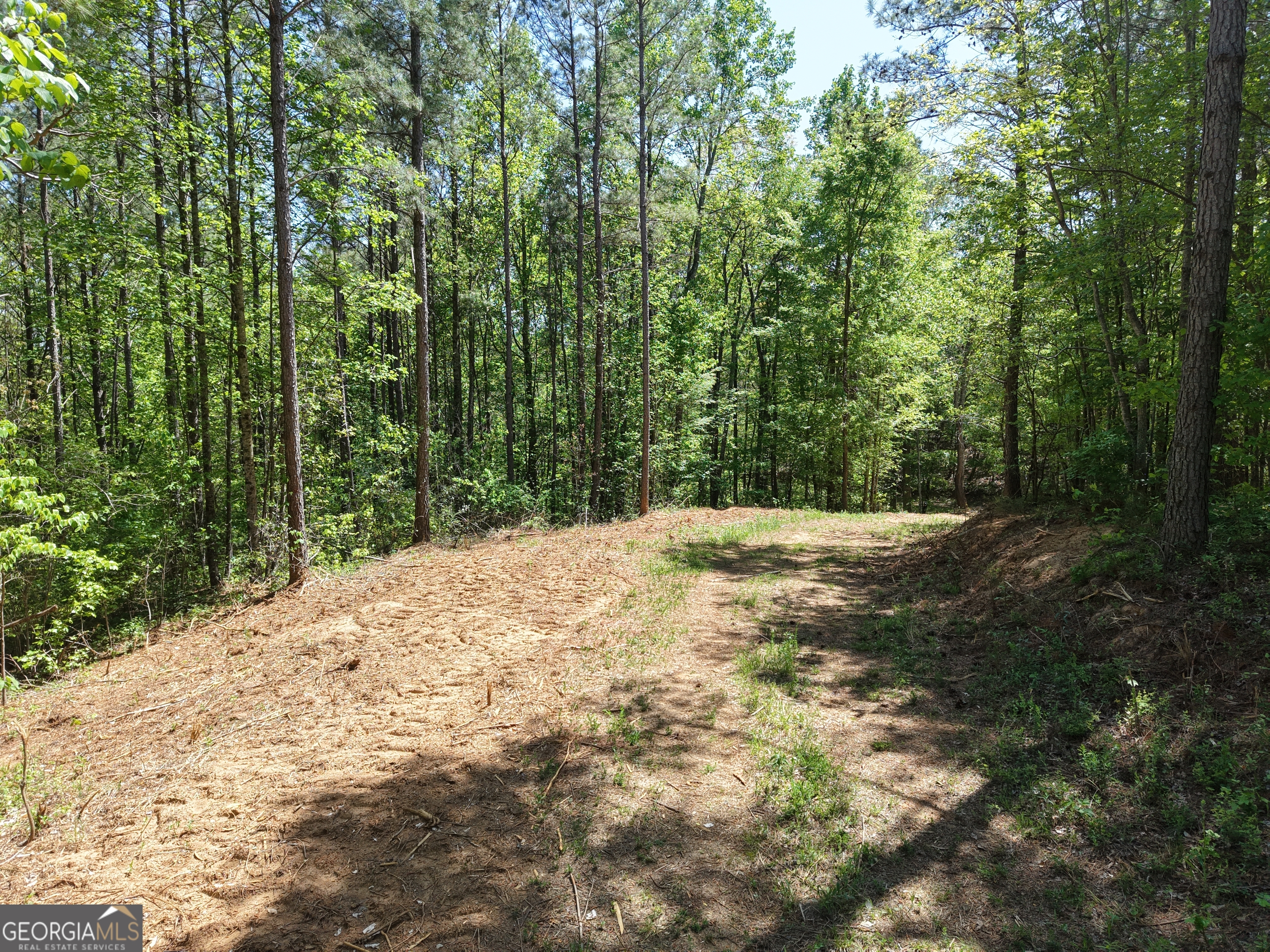 0 Ryo Mountain Road Fairmount GA 30139