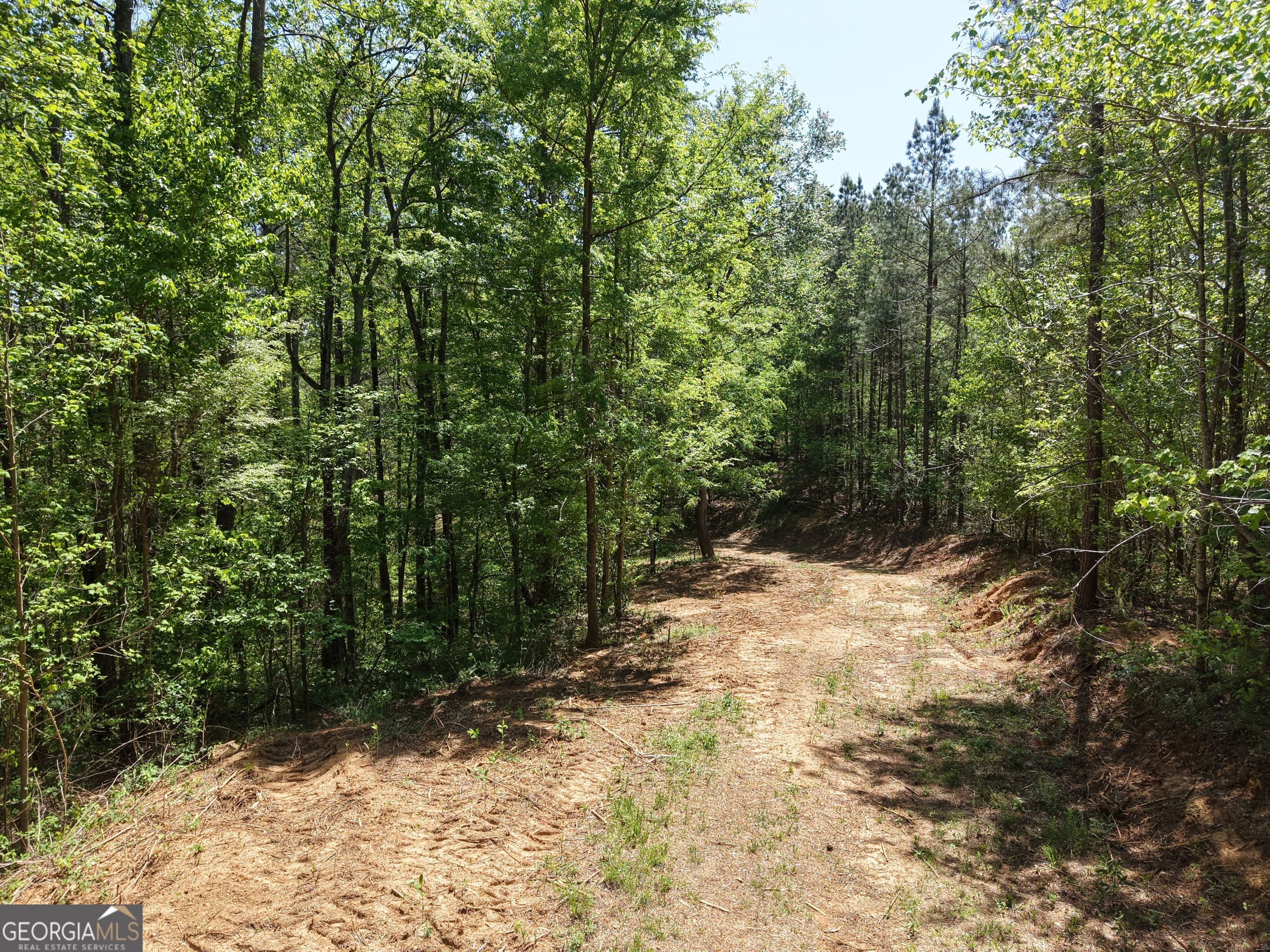 0 Ryo Mountain Road Fairmount GA 30139