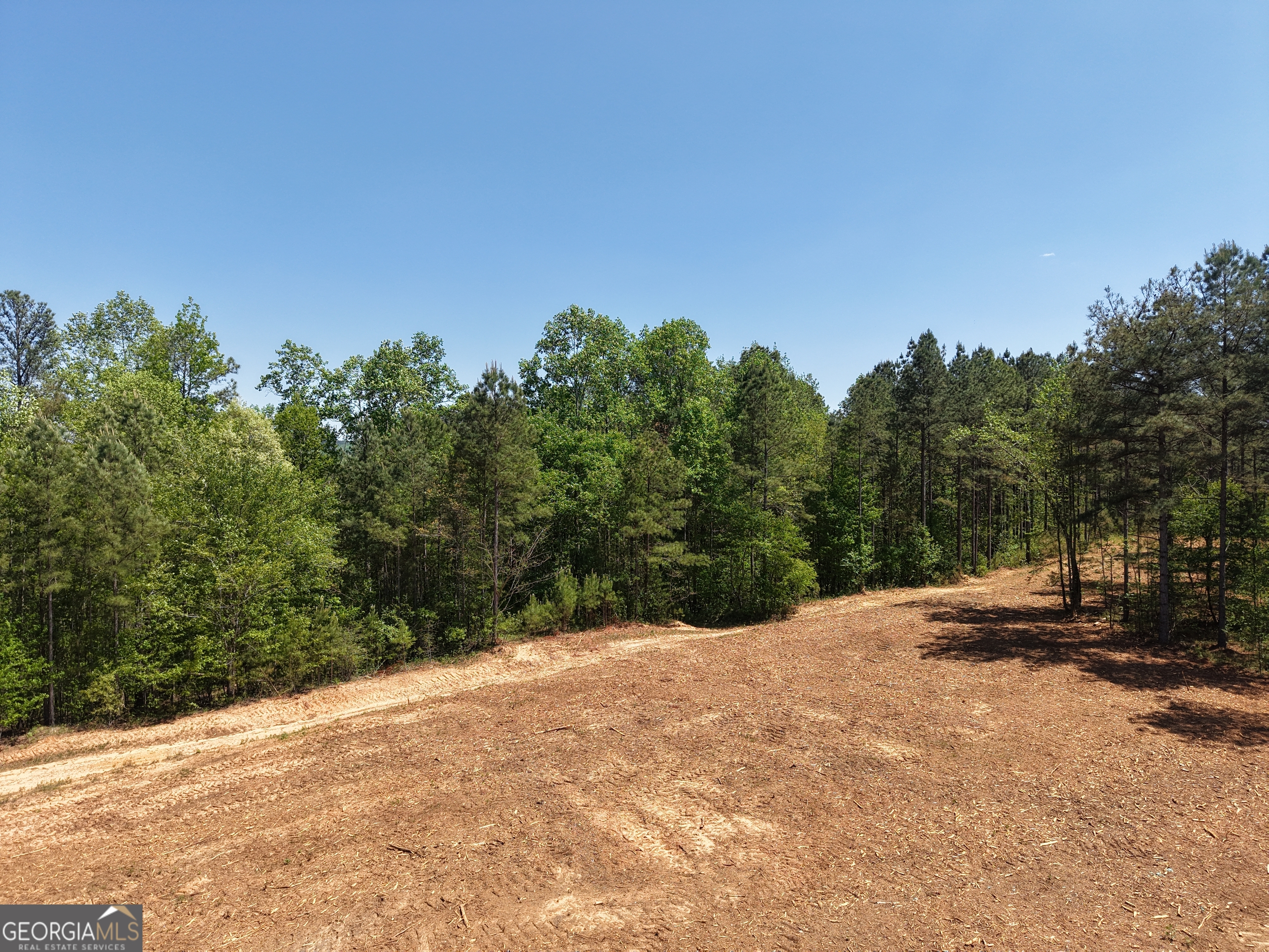 0 Ryo Mountain Road Fairmount GA 30139