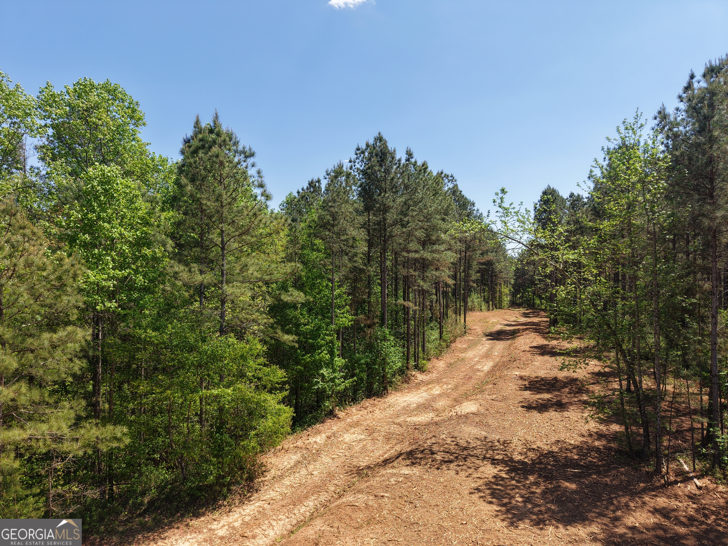 0 Ryo Mountain Road Fairmount GA 30139