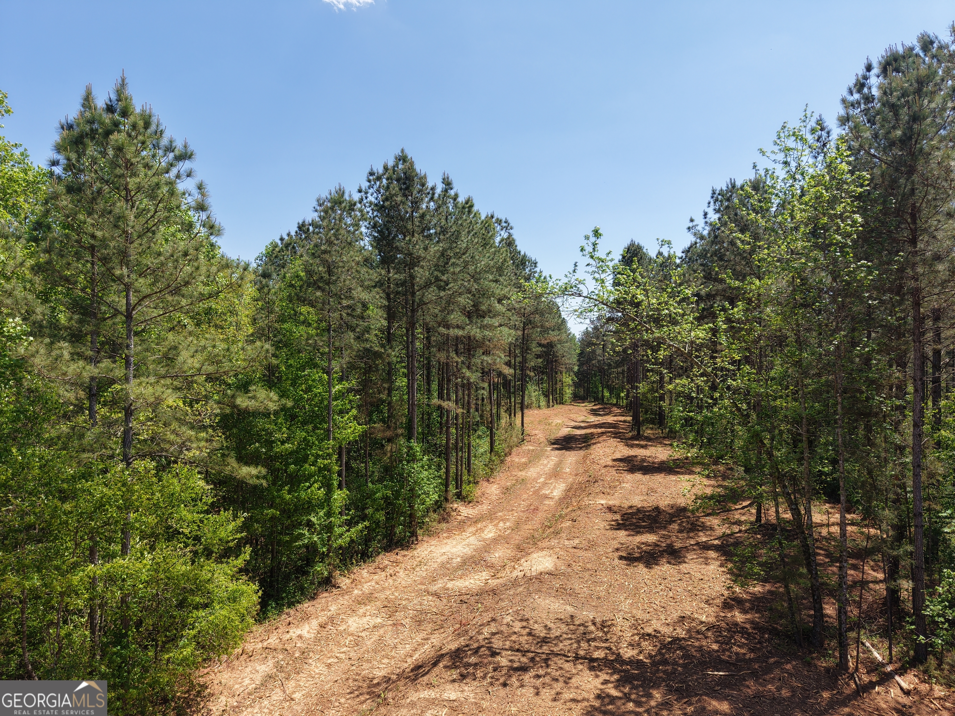 0 Ryo Mountain Road Fairmount GA 30139