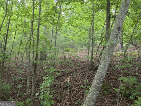 2 Lots Oak Forest Clarkesville GA 30523