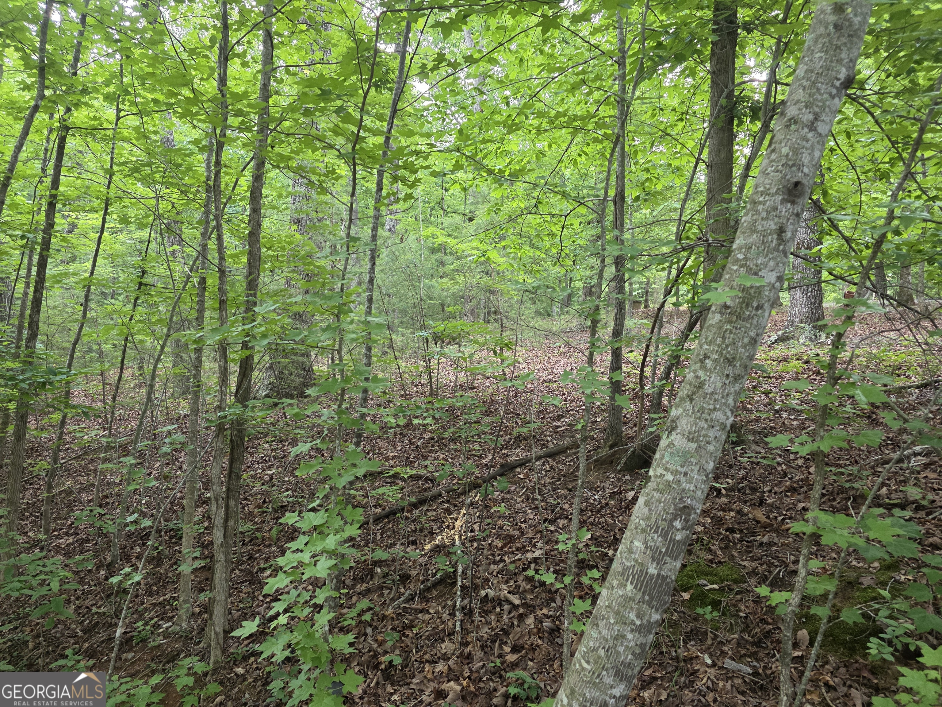 2 Lots Oak Forest Clarkesville GA 30523