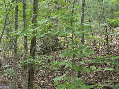 2 Lots Oak Forest Clarkesville GA 30523
