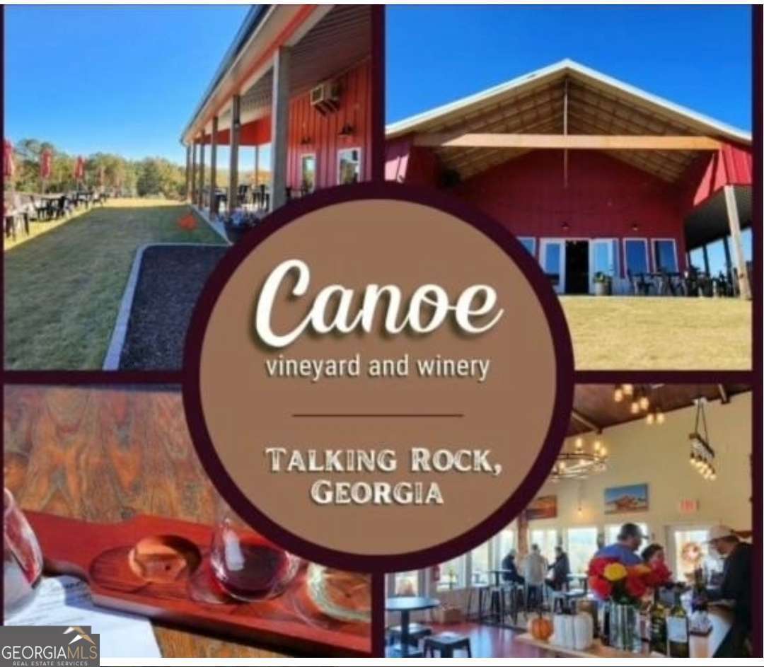 74 Grizzle Court Ellijay GA 30540