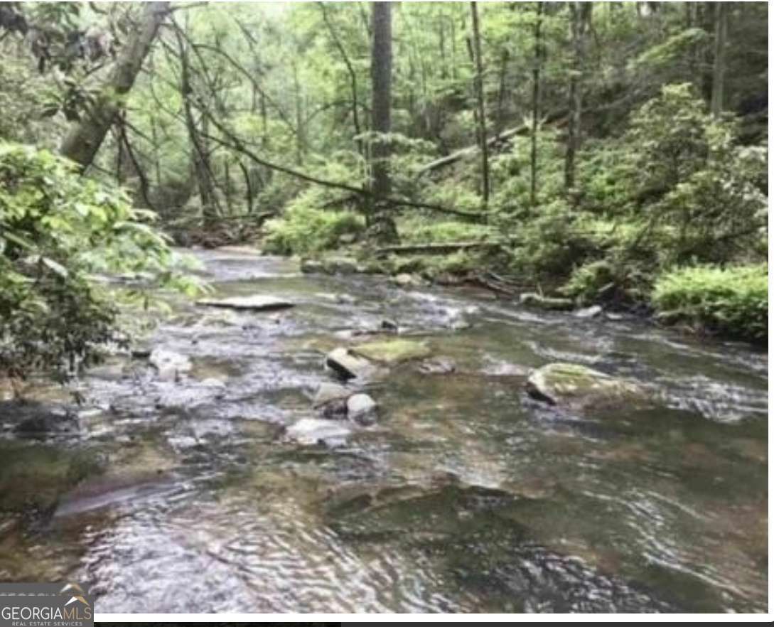 74 Grizzle Court Ellijay GA 30540