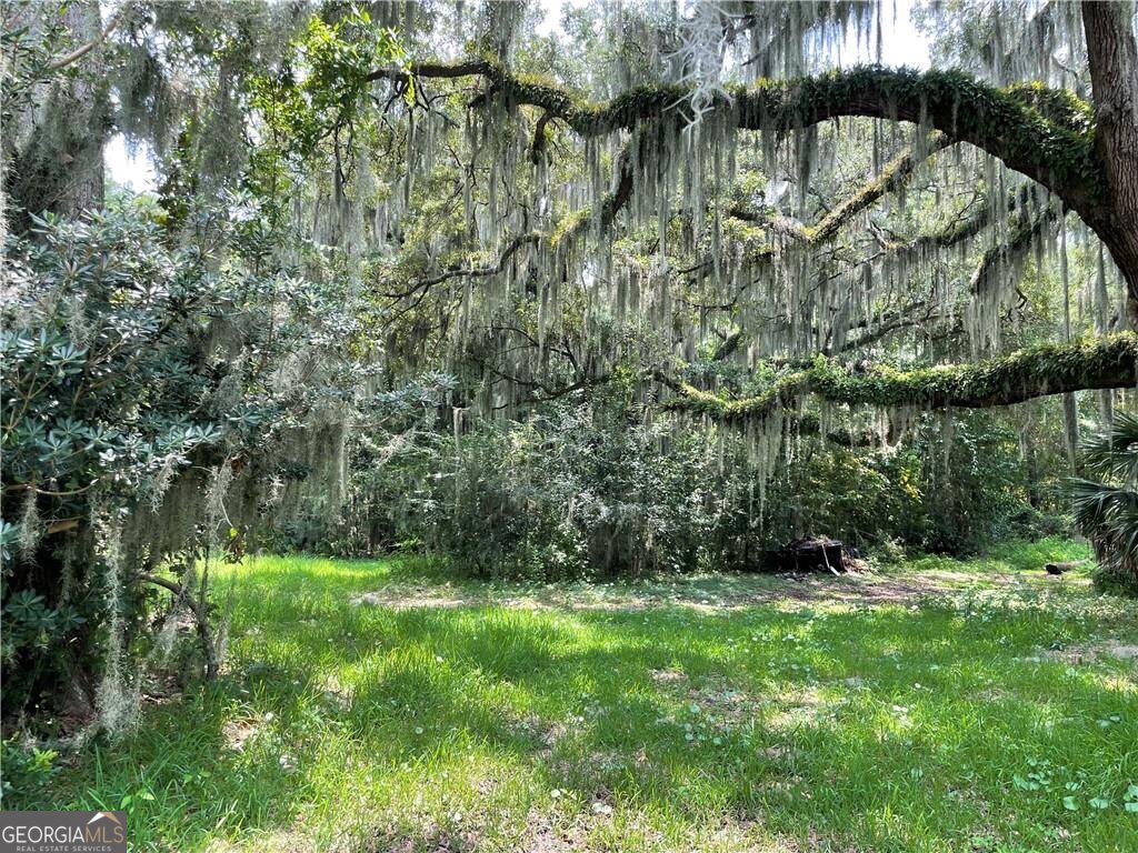 Trail 2 & Trail 3 Emanuel Farm Road Brunswick GA 31525