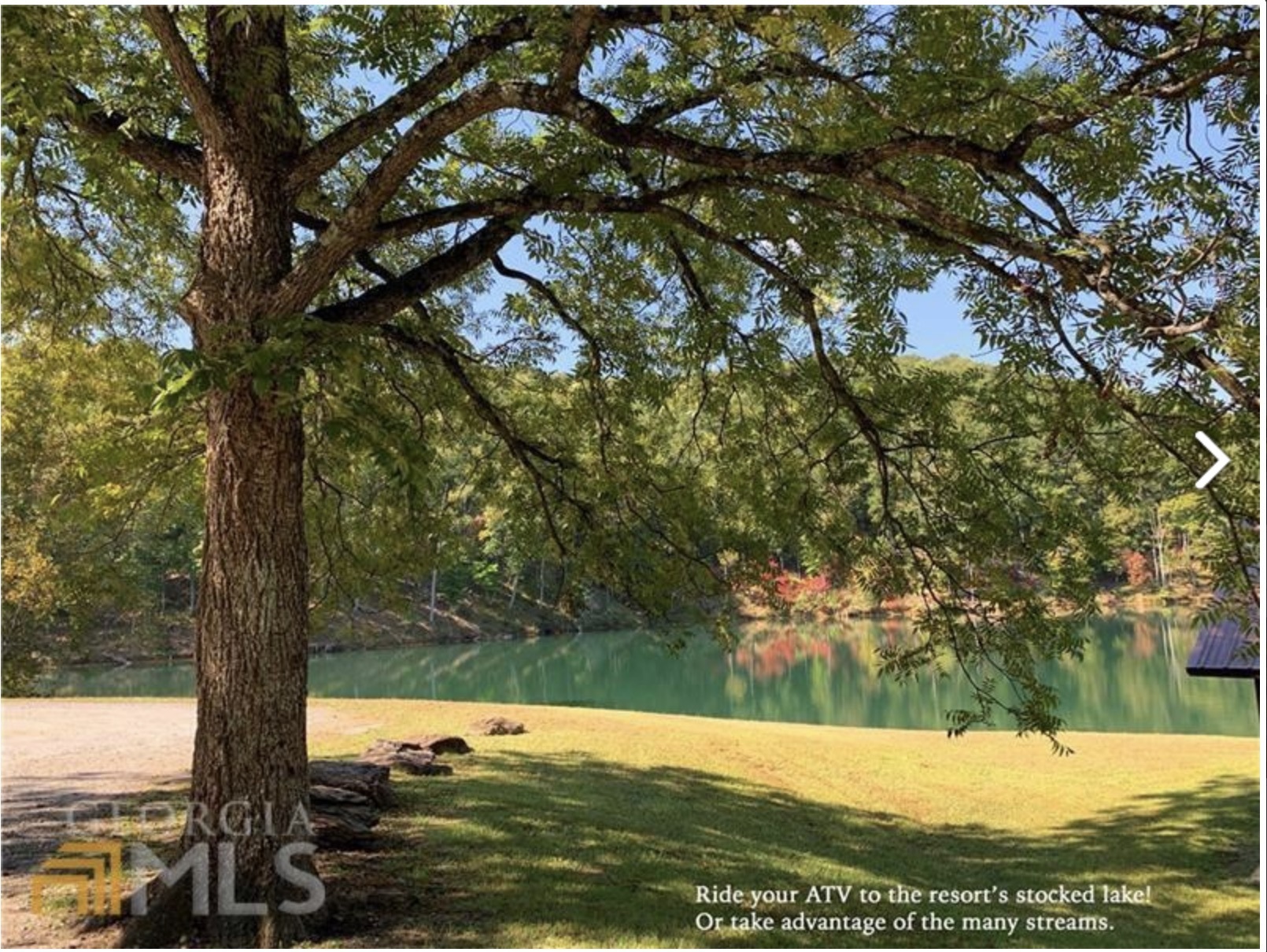 514 Marque Lane NE Ranger GA 30734
