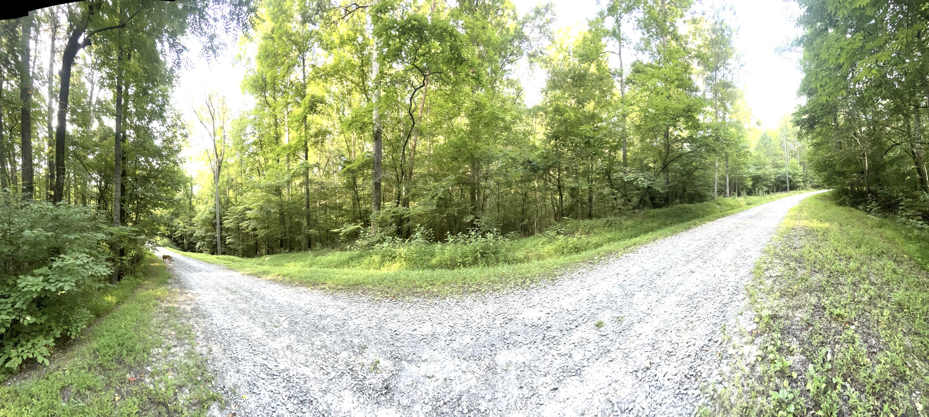 514 Marque Lane NE Ranger GA 30734