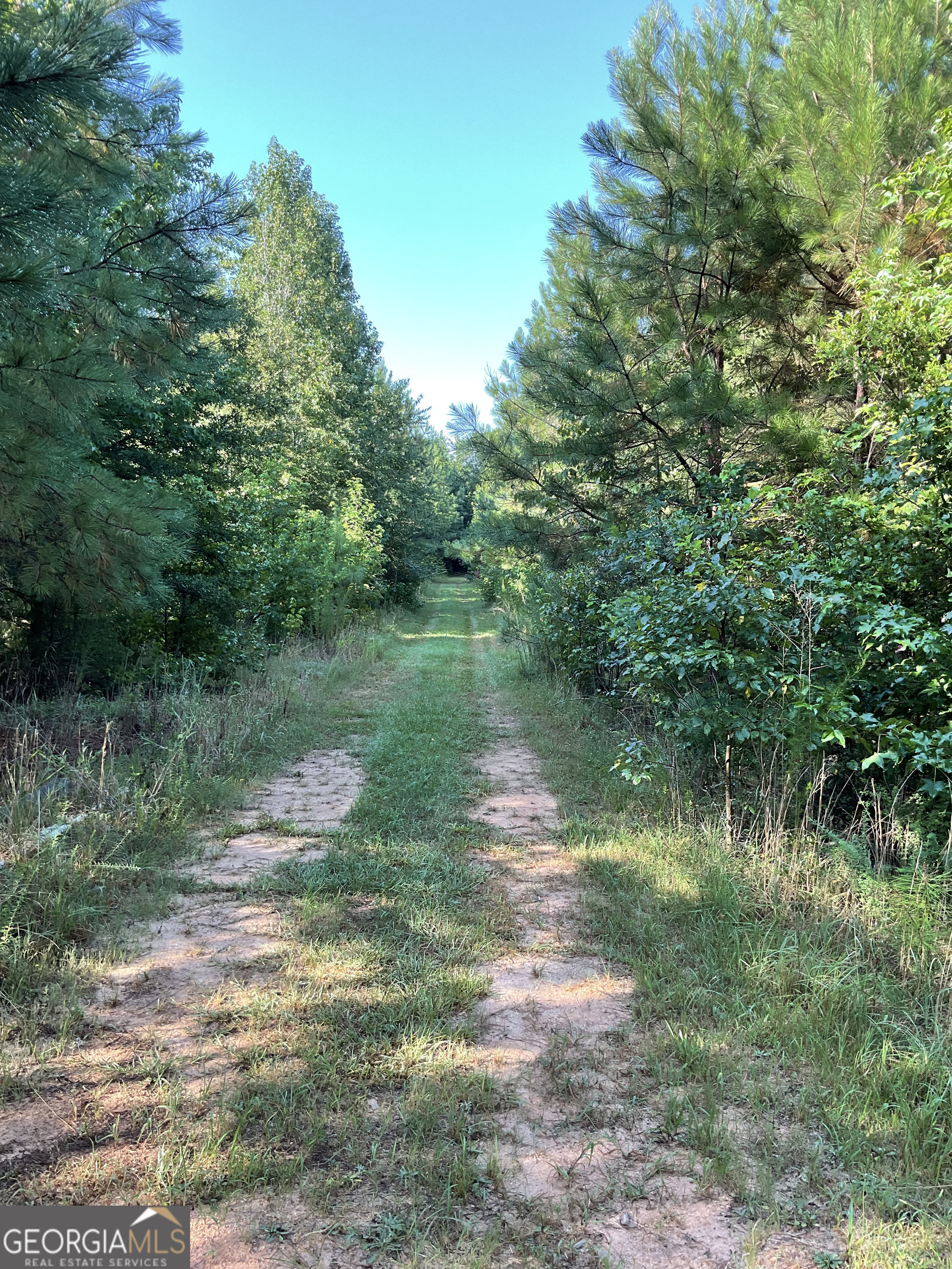 0 Bowers Street Bowman GA 30624